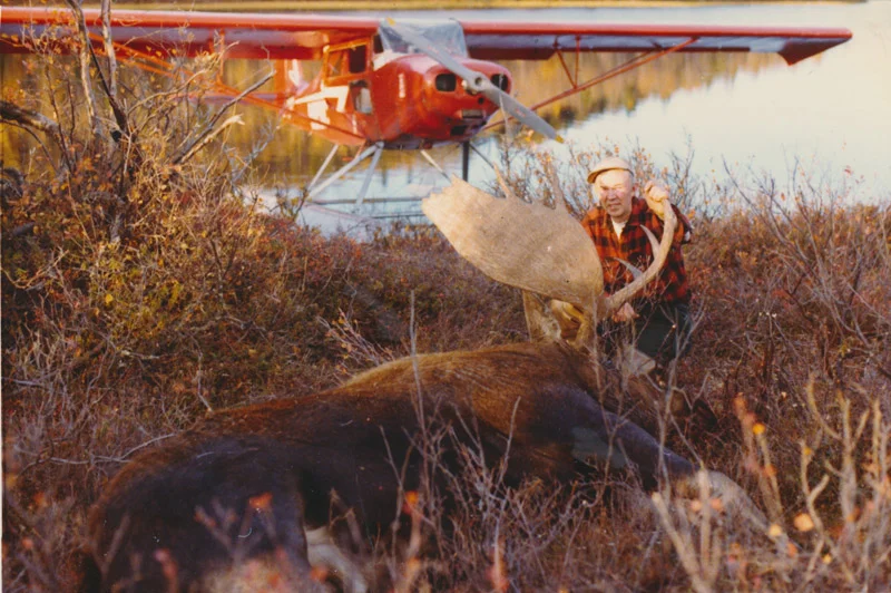 Fly In Hunting