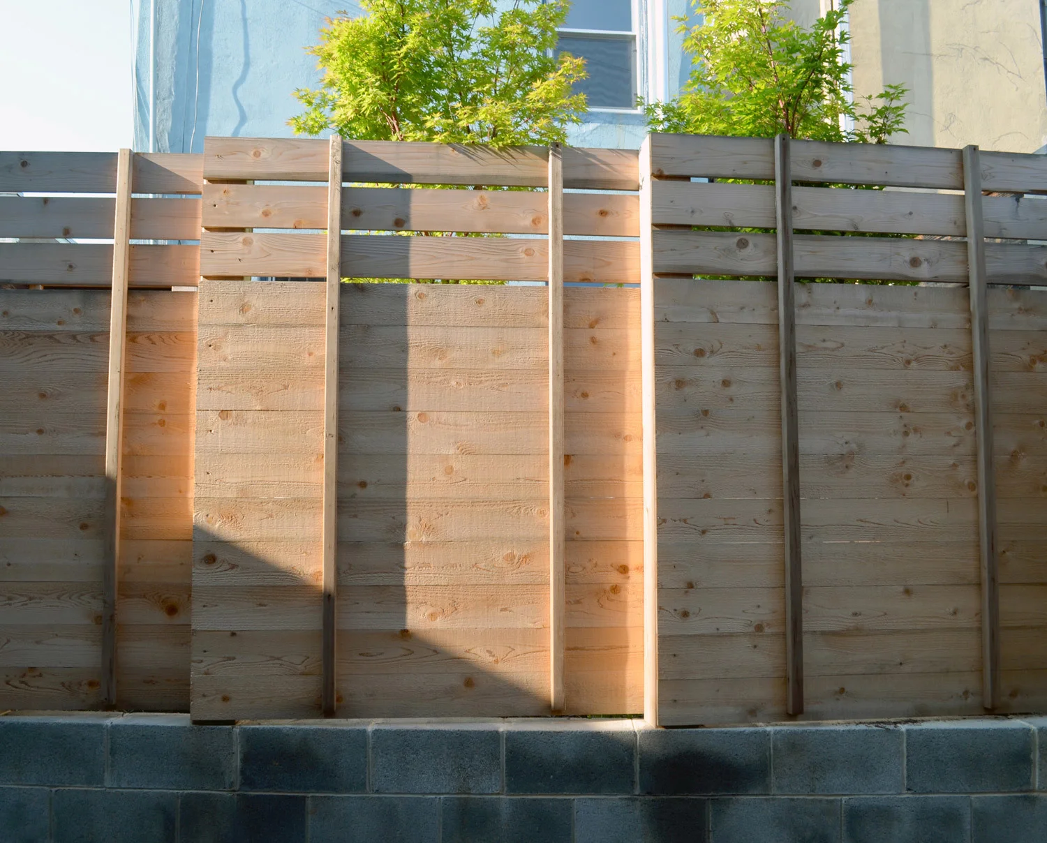 Guinto-Nordstrom_back-of-fence2_reduced.jpg