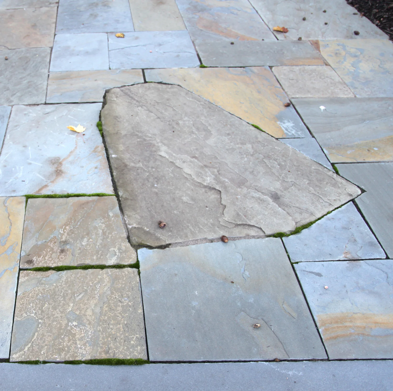 Project Location: Arlington, VA Completion: Spring 2012 General Contractor: Redux Garden & Home Primary Material Palette: full range natural cleft bluestone, select blue thermal finish bluestone, Maryland fieldstone, Bull Run brown and tan stone Photos By: Moody Landscape Architecture (unless noted otherwise)