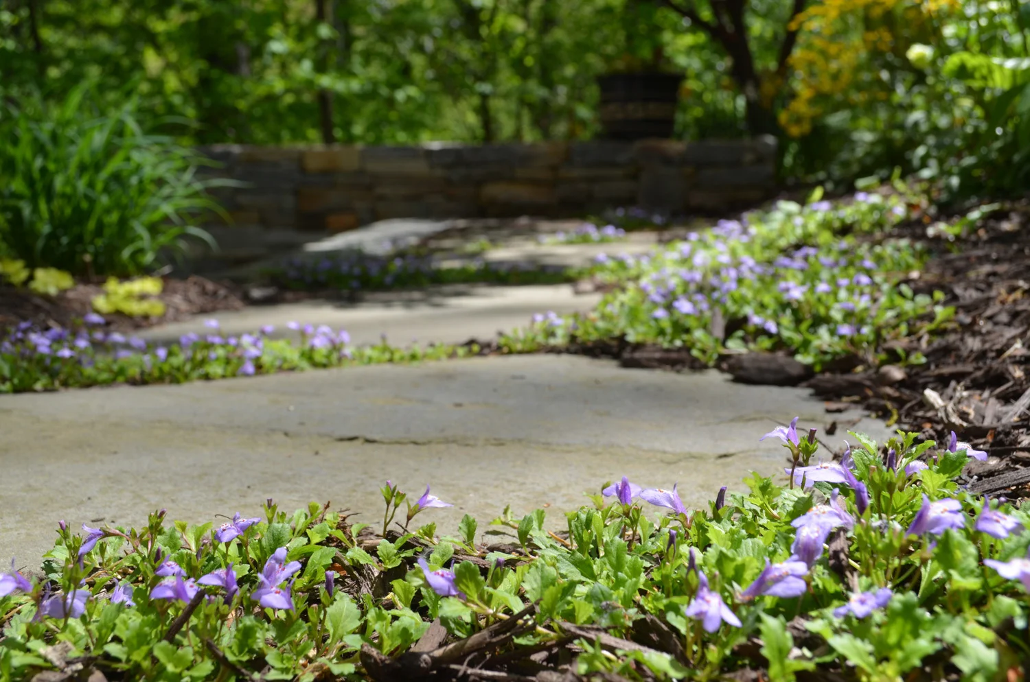 Project Location: Arlington, VA Completion: Spring 2012 General Contractor: Redux Garden & Home Primary Material Palette: full range natural cleft bluestone, select blue thermal finish bluestone, Maryland fieldstone, Bull Run brown and tan stone Photos By: Moody Landscape Architecture (unless noted otherwise)