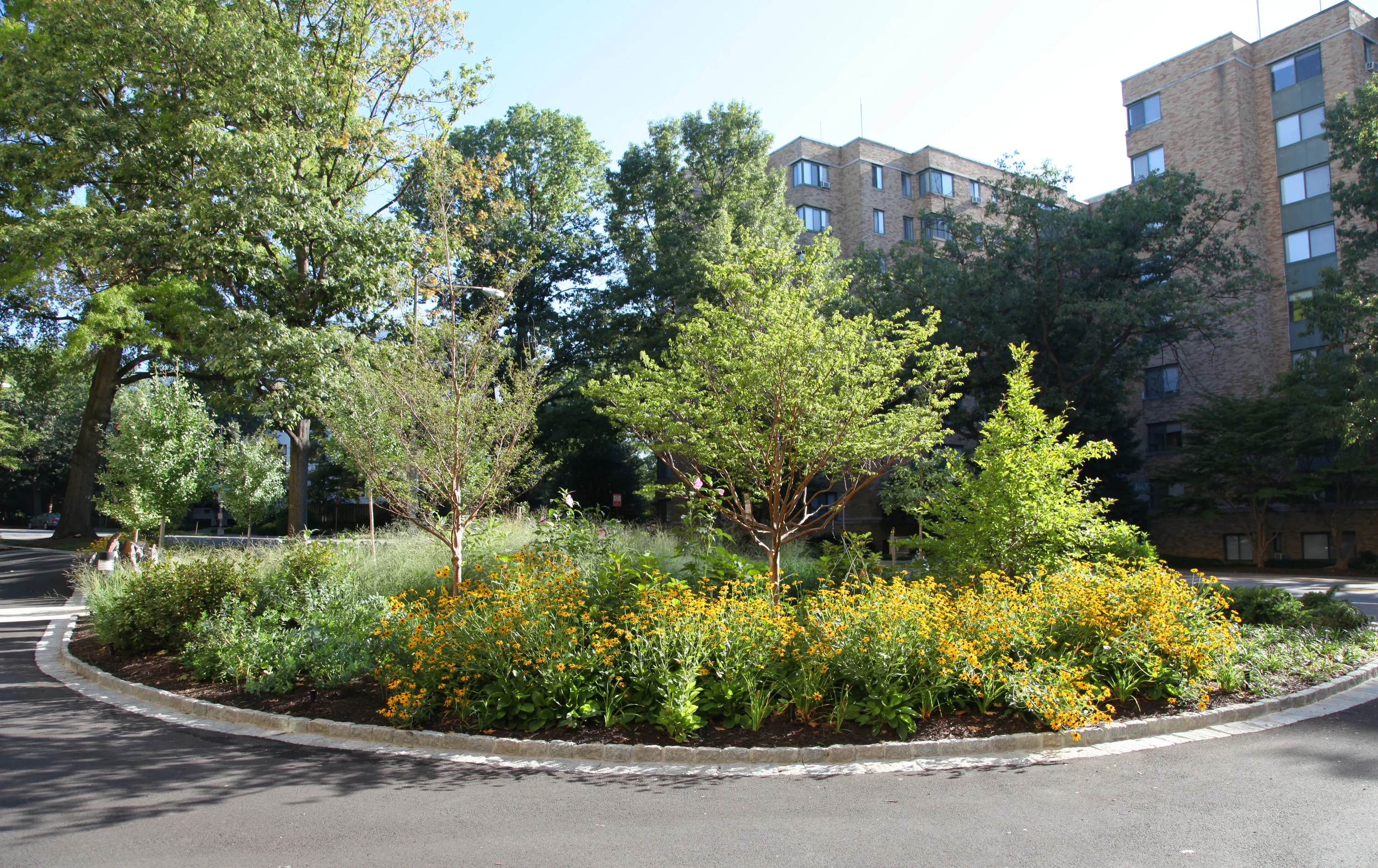 Project Location: Washington, DC (North Cleveland Park) Completion: Summer 2015 General Contractor: Denchfield Landscaping Image By: Moody Graham