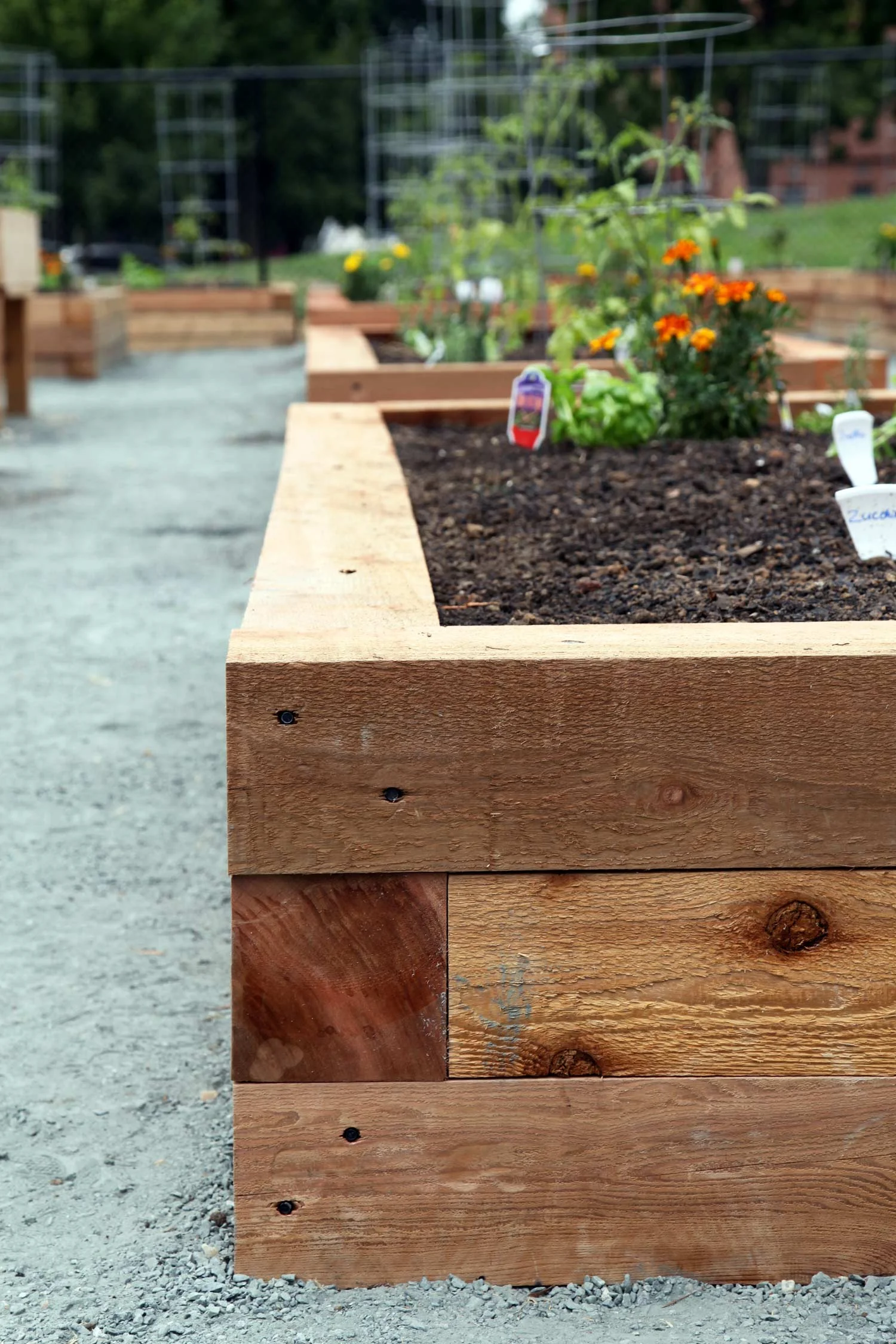 Project Location: Lansburgh Park, DC Completion: Summer 2013 Images By: Moody Landscape Architecture (unless noted otherwise)