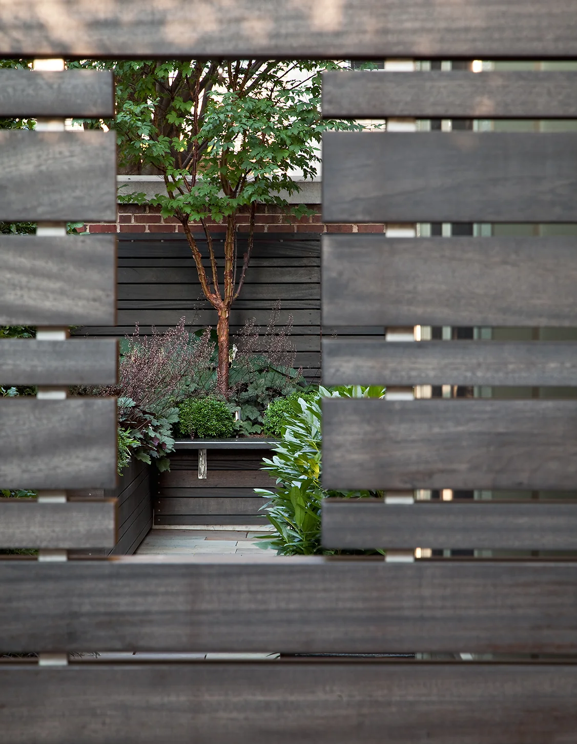 Project Location: Washington, DC (Cathedral Heights) Completion: 2010 General Contractor: Quarry Aquatics, Evergro Landscaping Primary Material Palette: bluestone, brick, European hornbeam Photos By: Allen Russ Awards: Honor Award, American Society of Landscape Architects Maryland Chapter, 2009