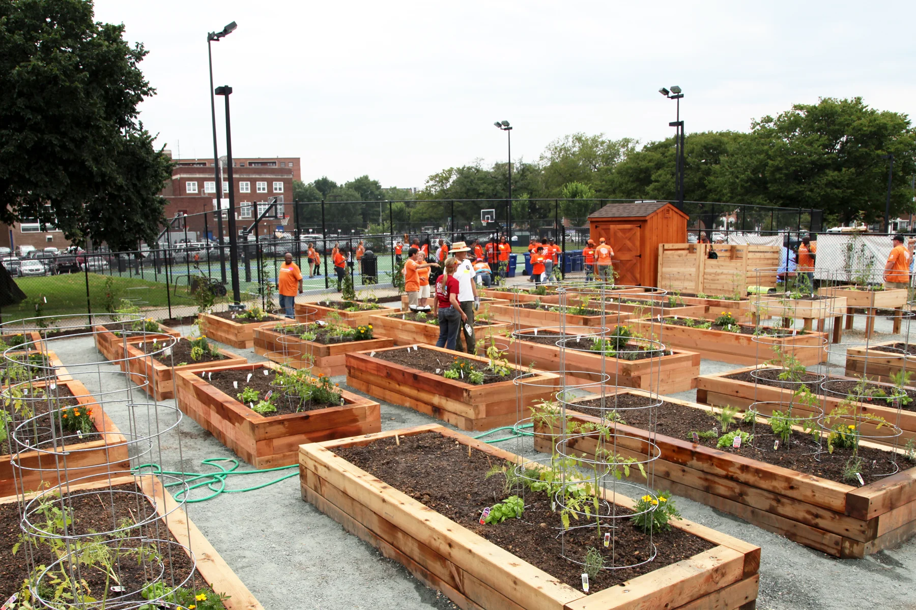 Lansburgh Park_planting.jpg