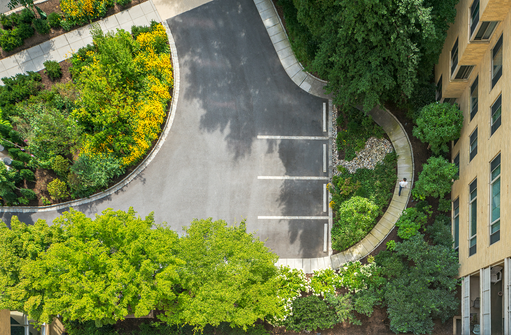   Project Location:  Washington, DC (North Cleveland Park)  Completion:  Summer 2015  General Contractor:  Denchfield Landscaping  Image By:  Allen Russ 