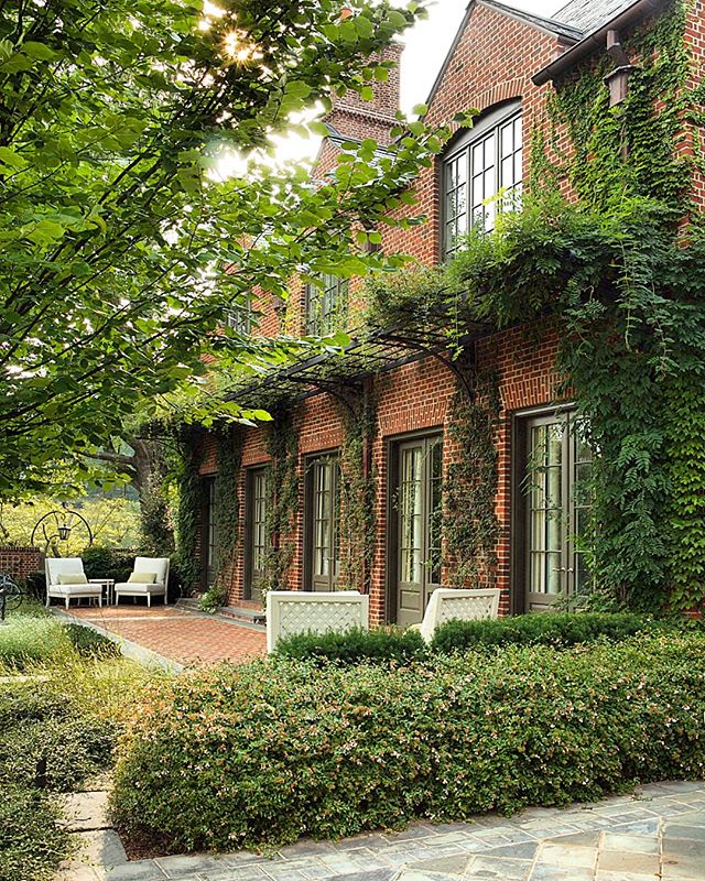 Vines and brick make good friends.