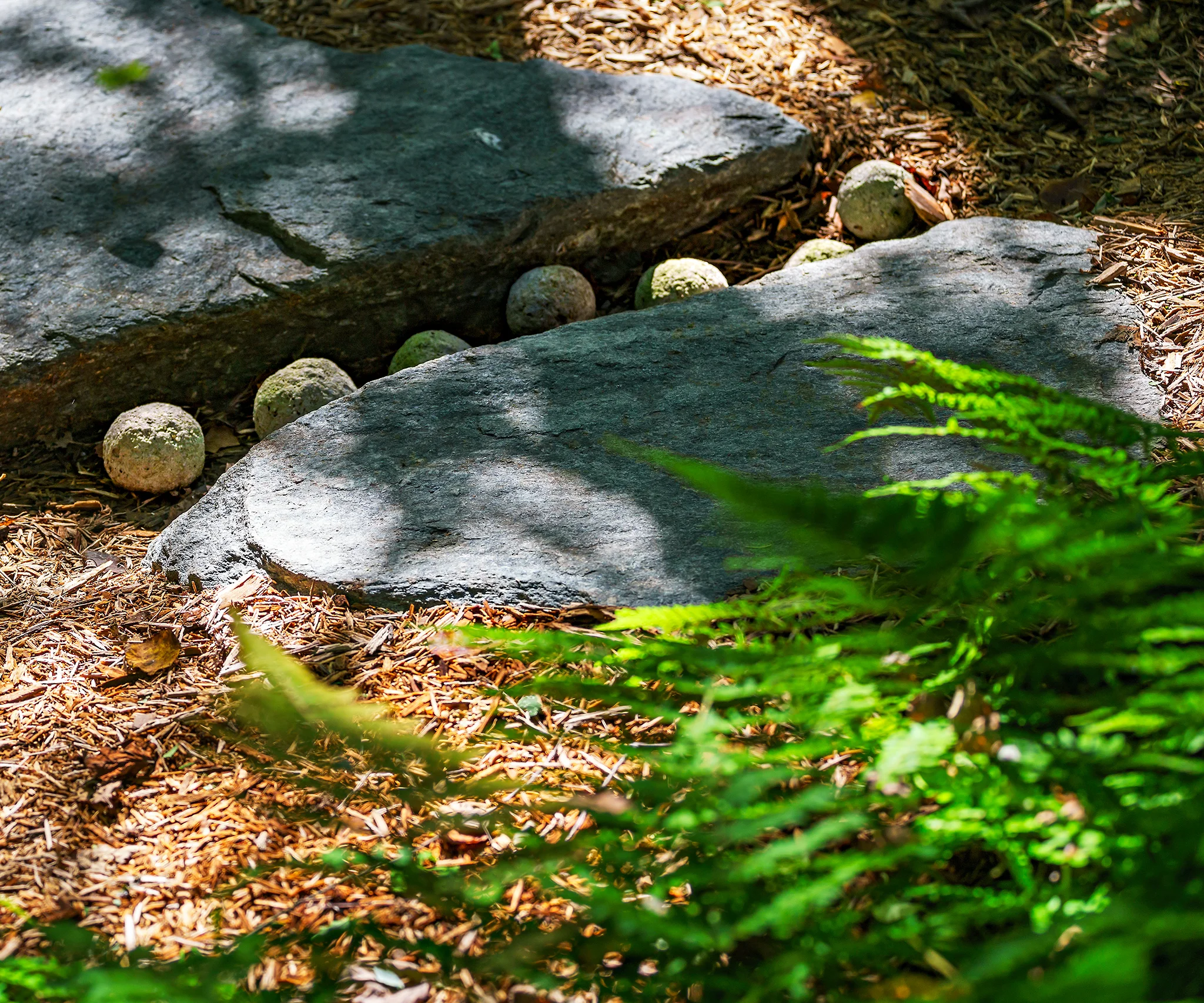 Project Location: Annapolis, MD Completion: 2018 General Contractor: Evergro Landscaping, Denison Landscaping, Winchester Construction Primary Material Palette: bluestone, autumn fern, river birch, paw paw Photos By: Allen Russ