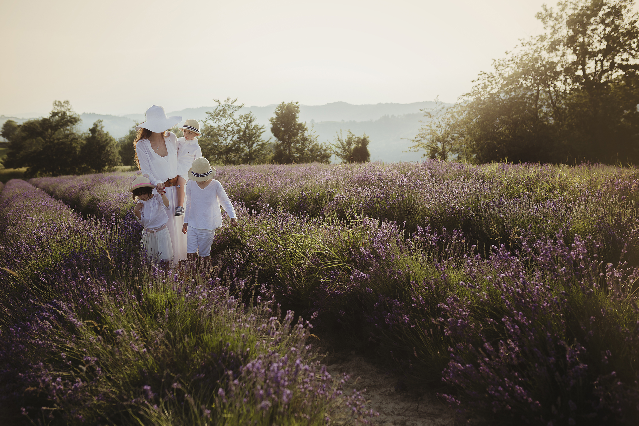 lavanda_022.jpg