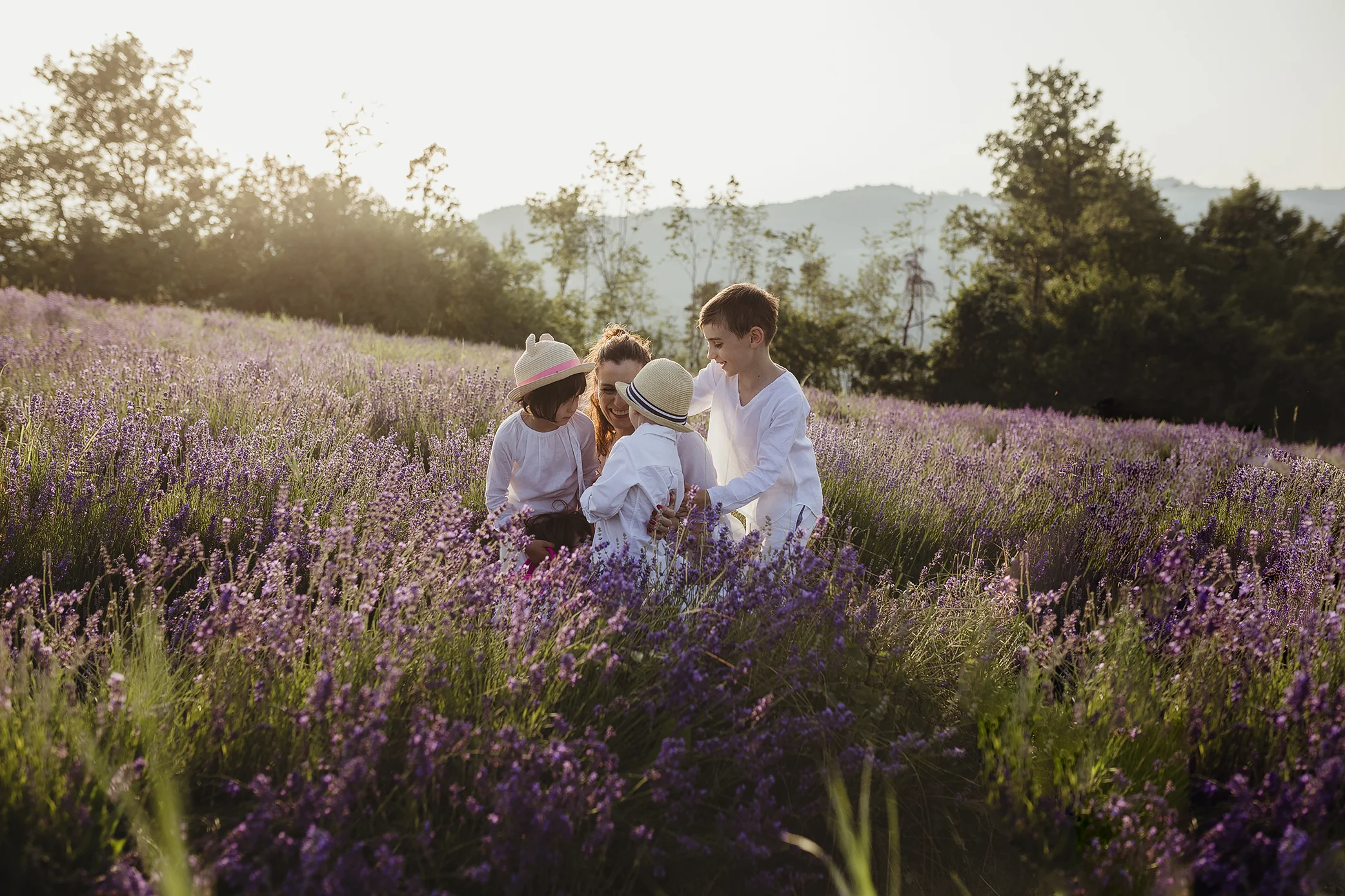 lavanda_056.jpg