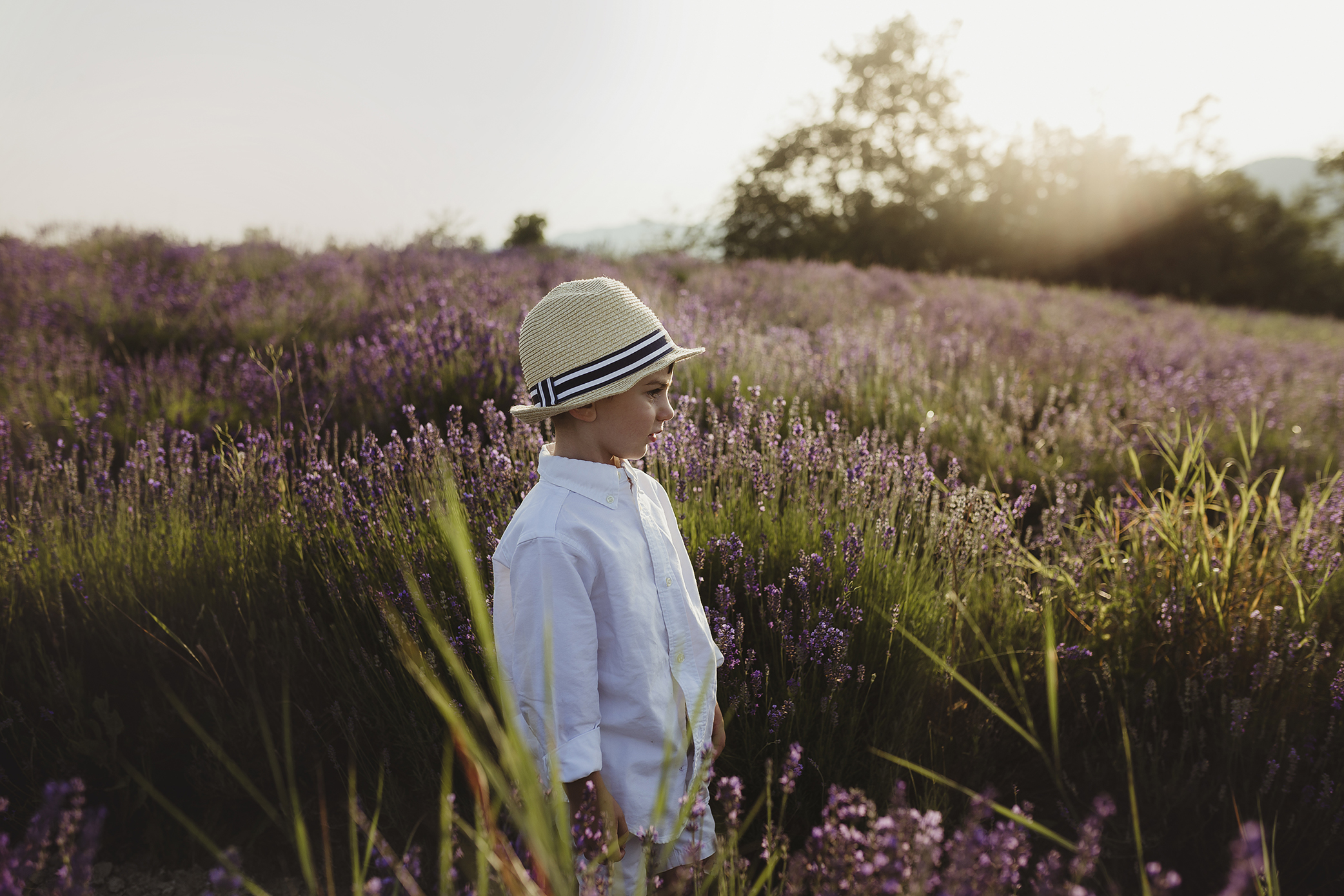 lavanda_070.jpg