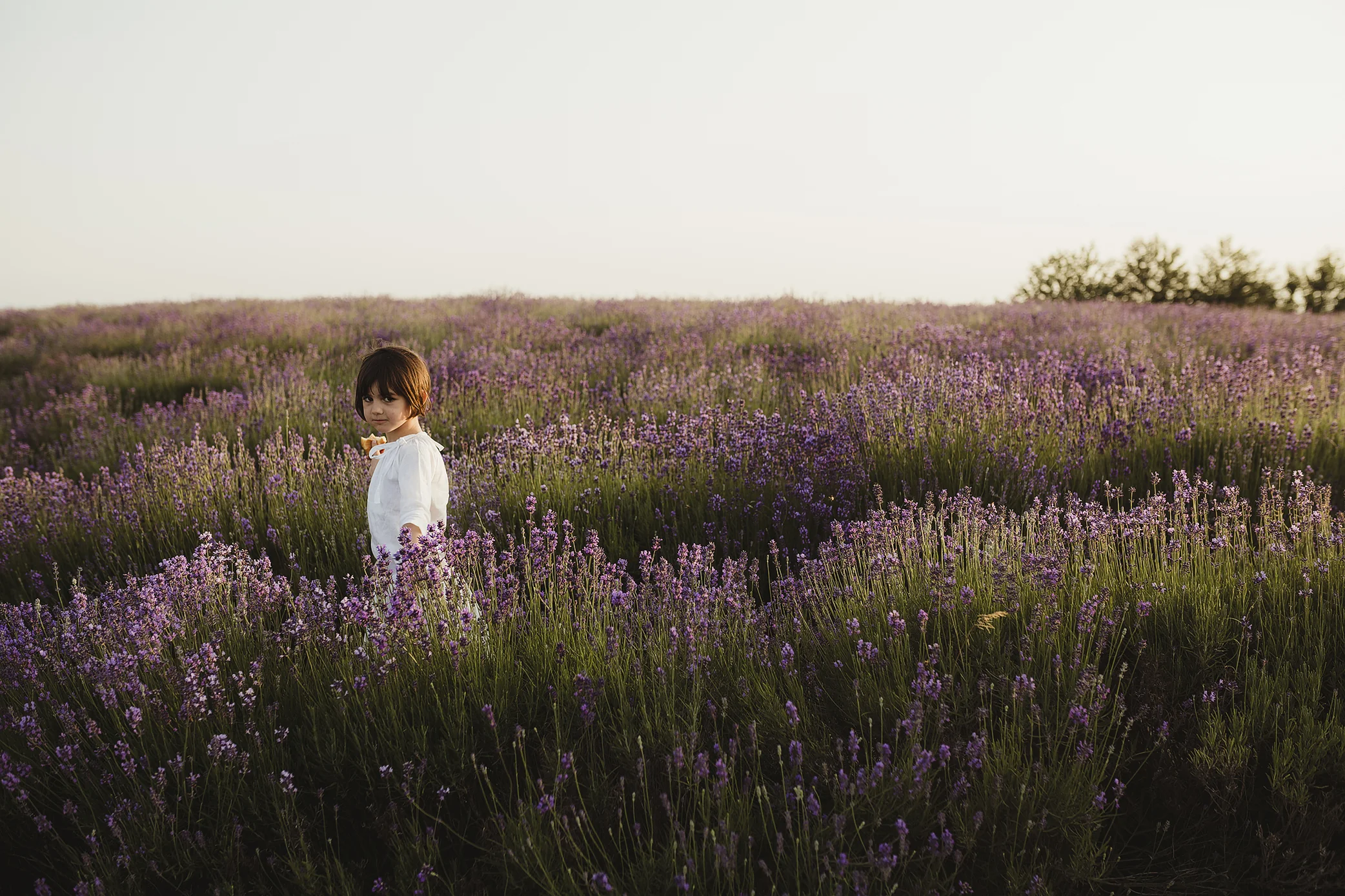 lavanda_088.jpg