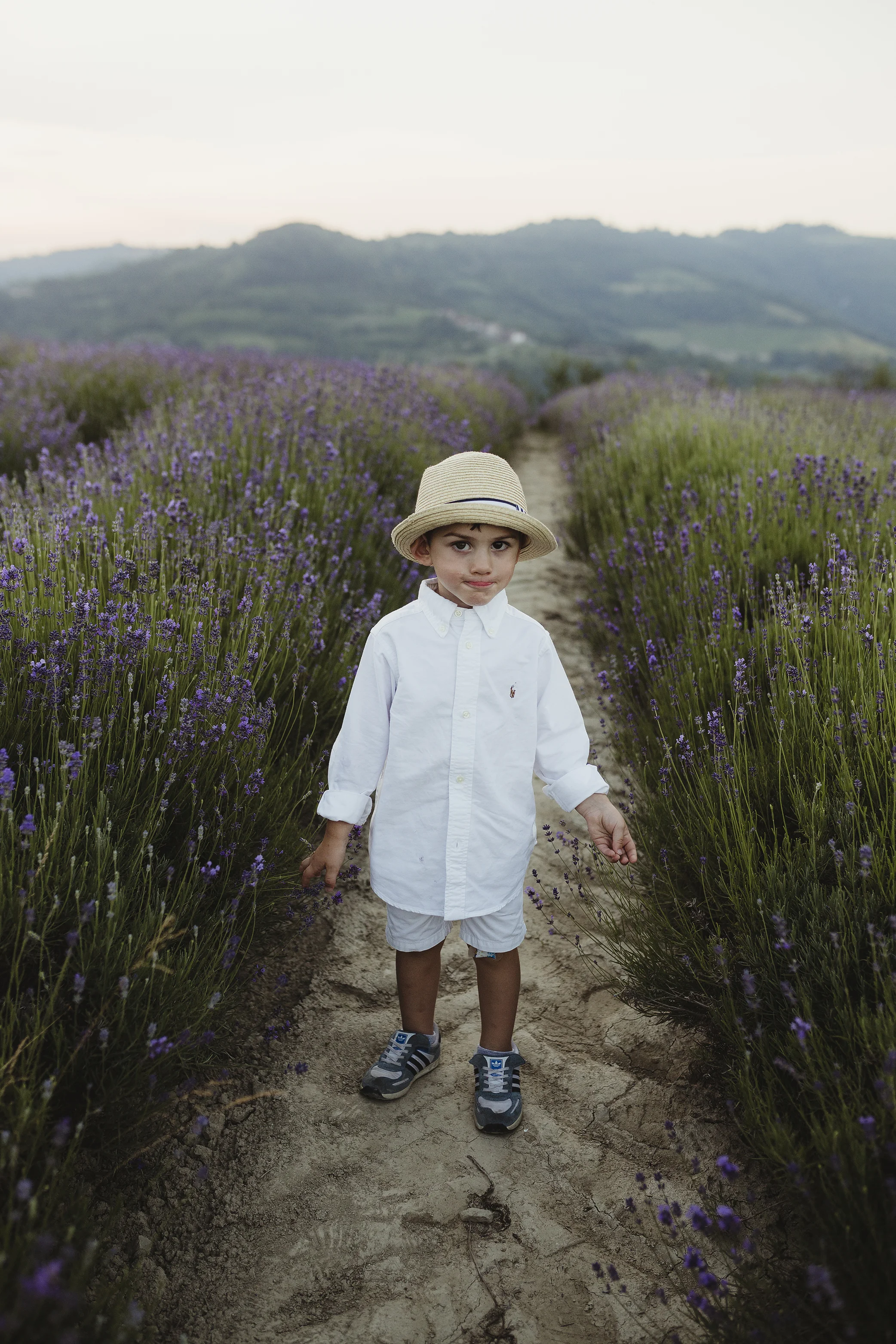 lavanda_117.jpg