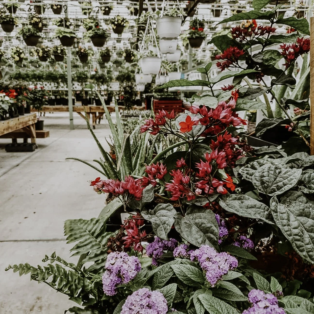 Screen Shot 2023-02-27 at 11.37.20 AM copy.jpg