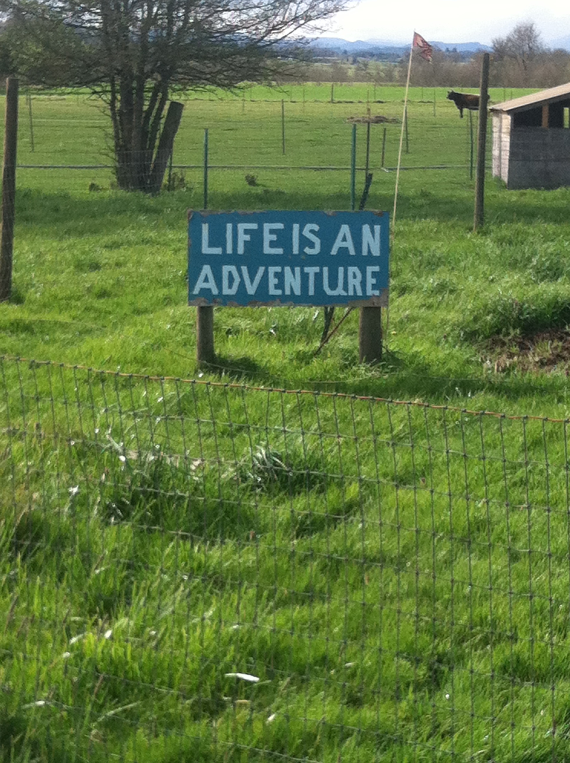 Yes it is.