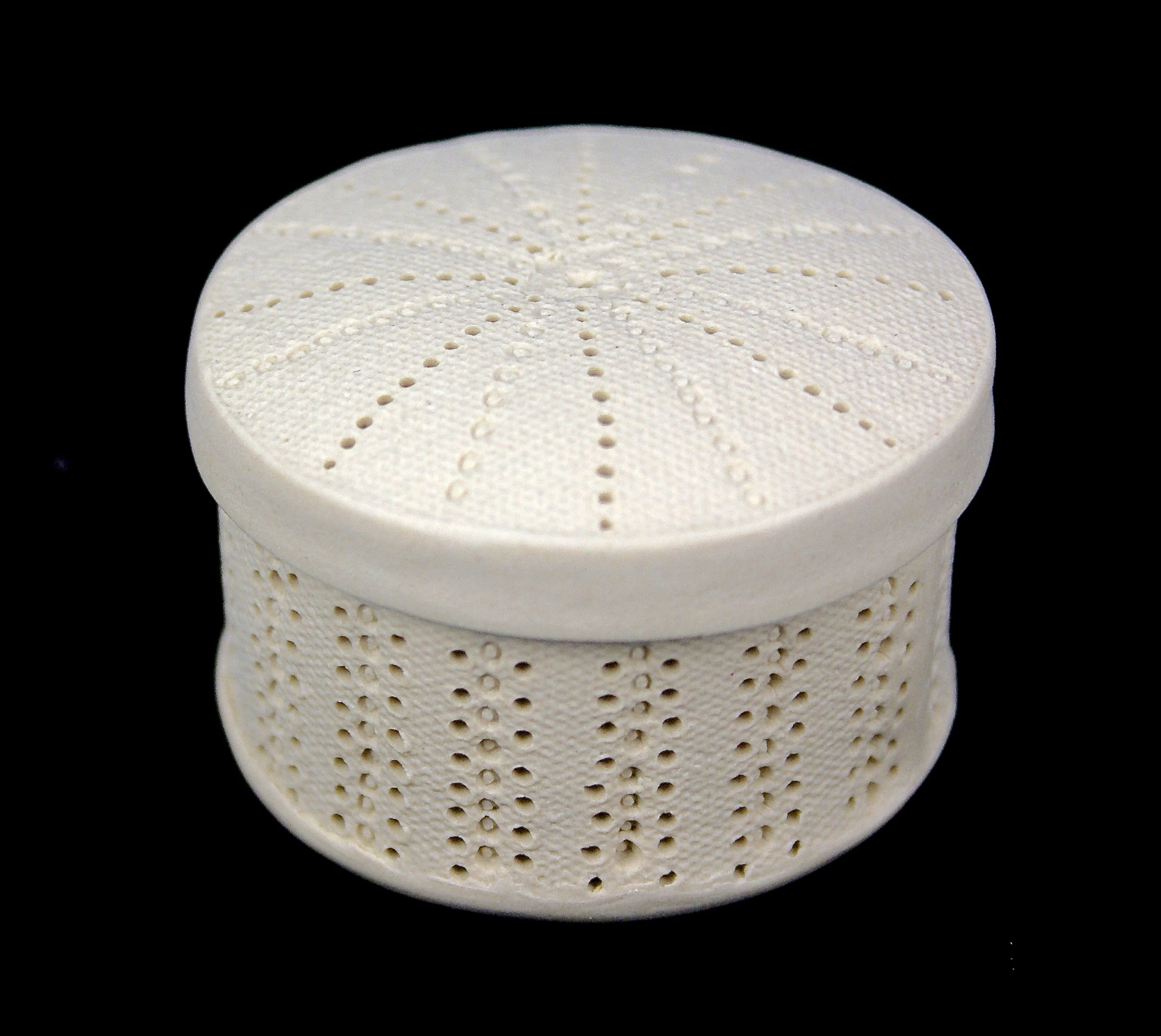 small centric diatom box