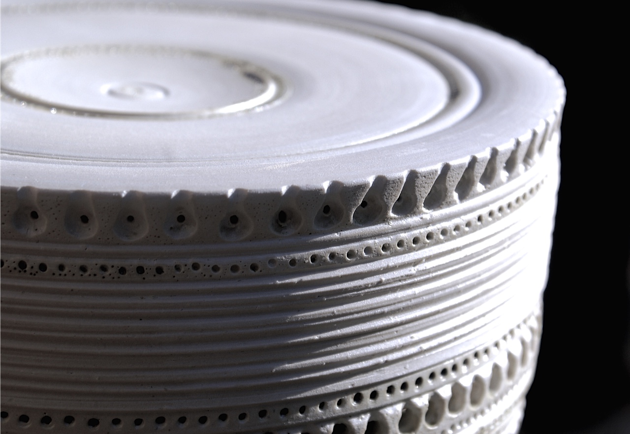 "Melosira sulcata", detail