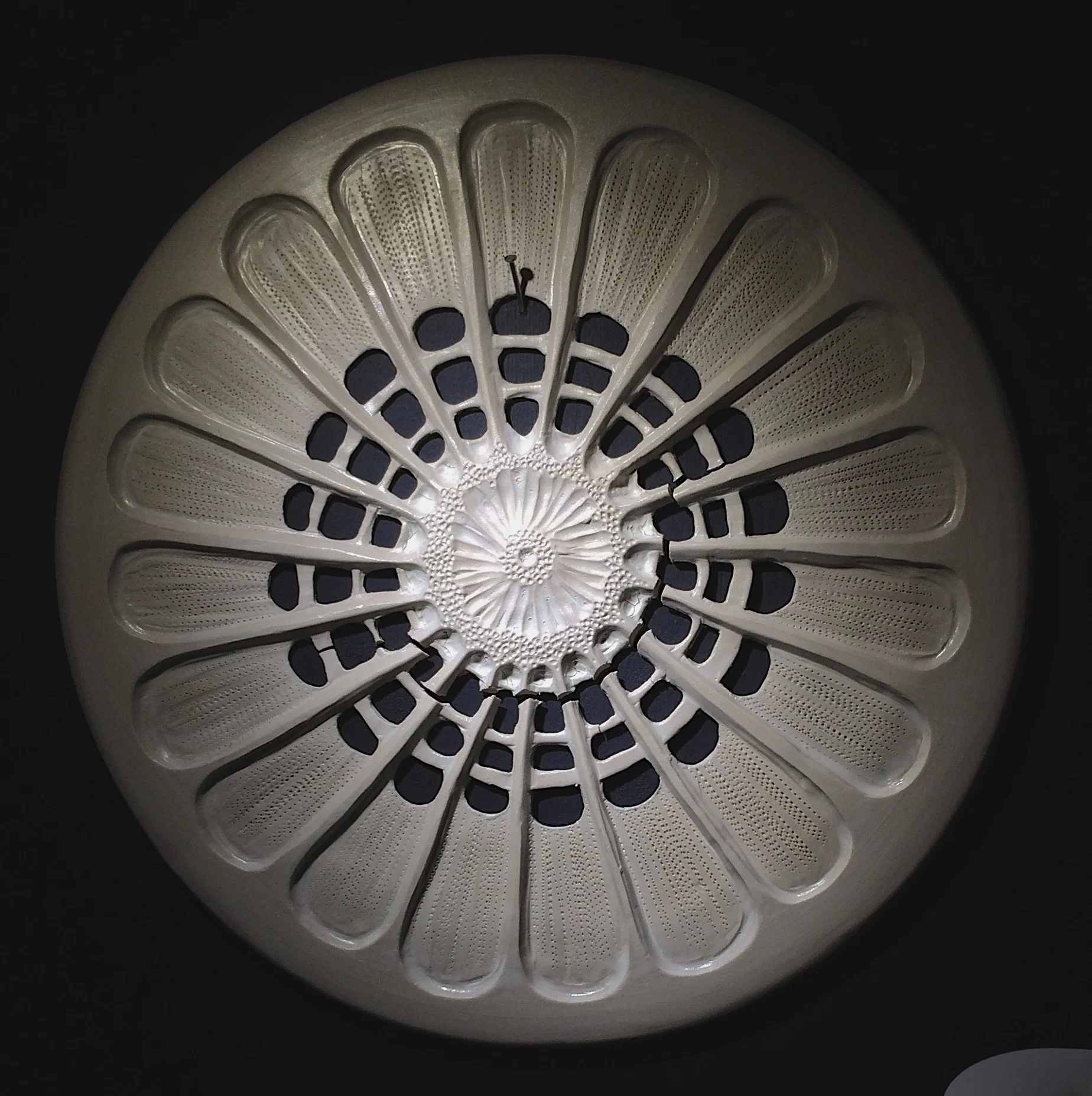 "Arachnoidiscus japonicus" sold