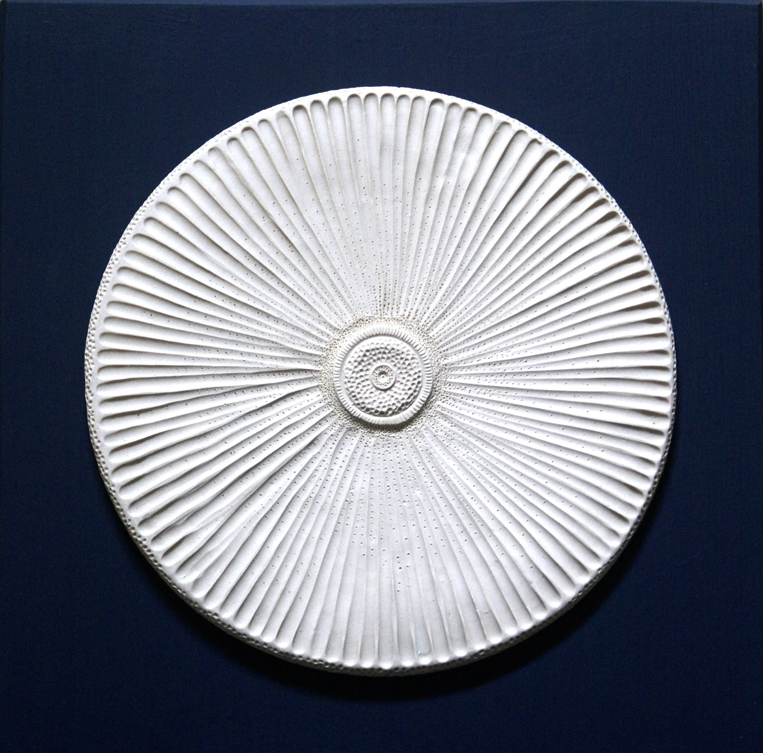 "Cyclotella" wall piece