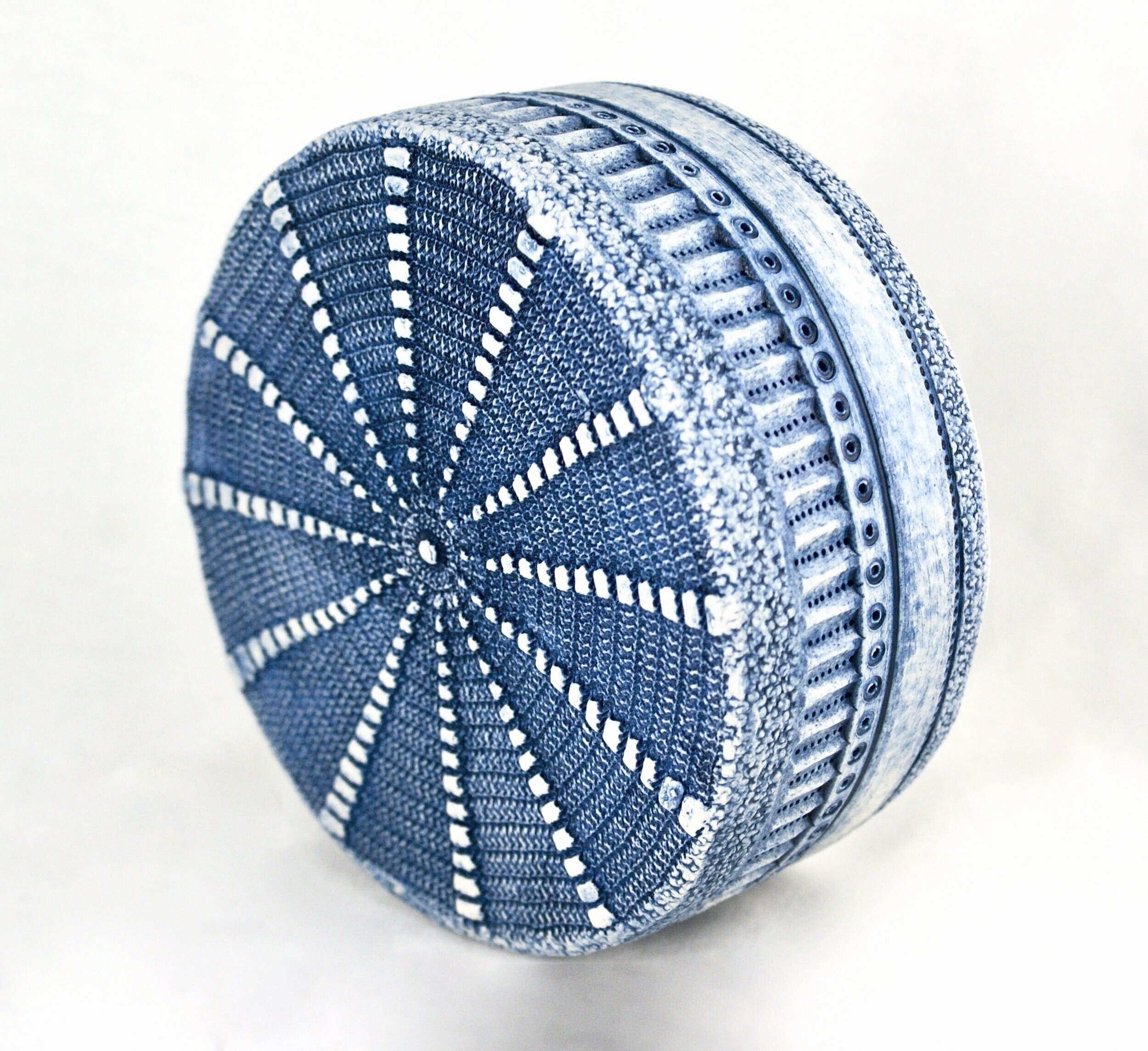 Centric diatom wall hanging #2