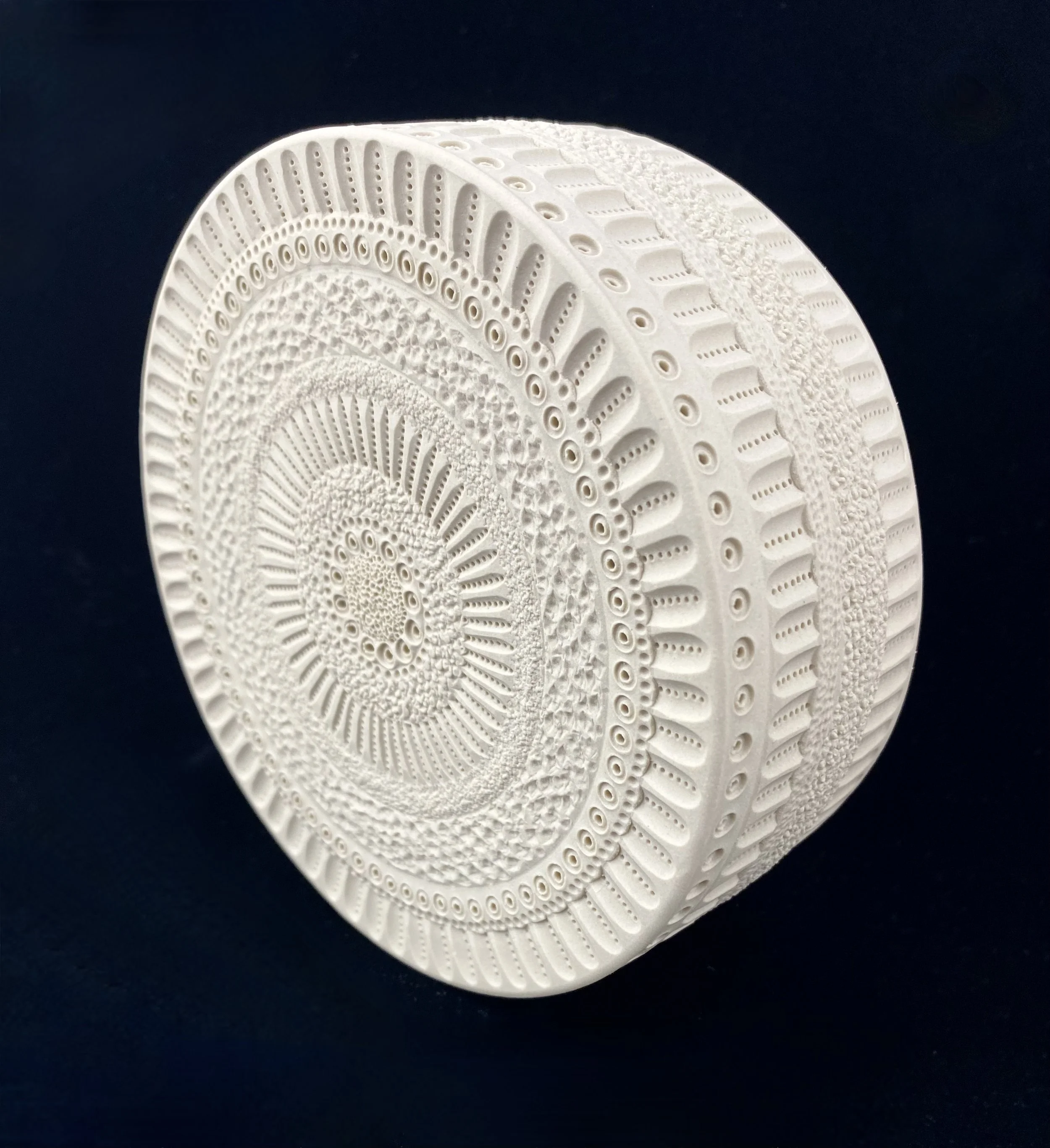 White Centric Diatom Wall Sculpture