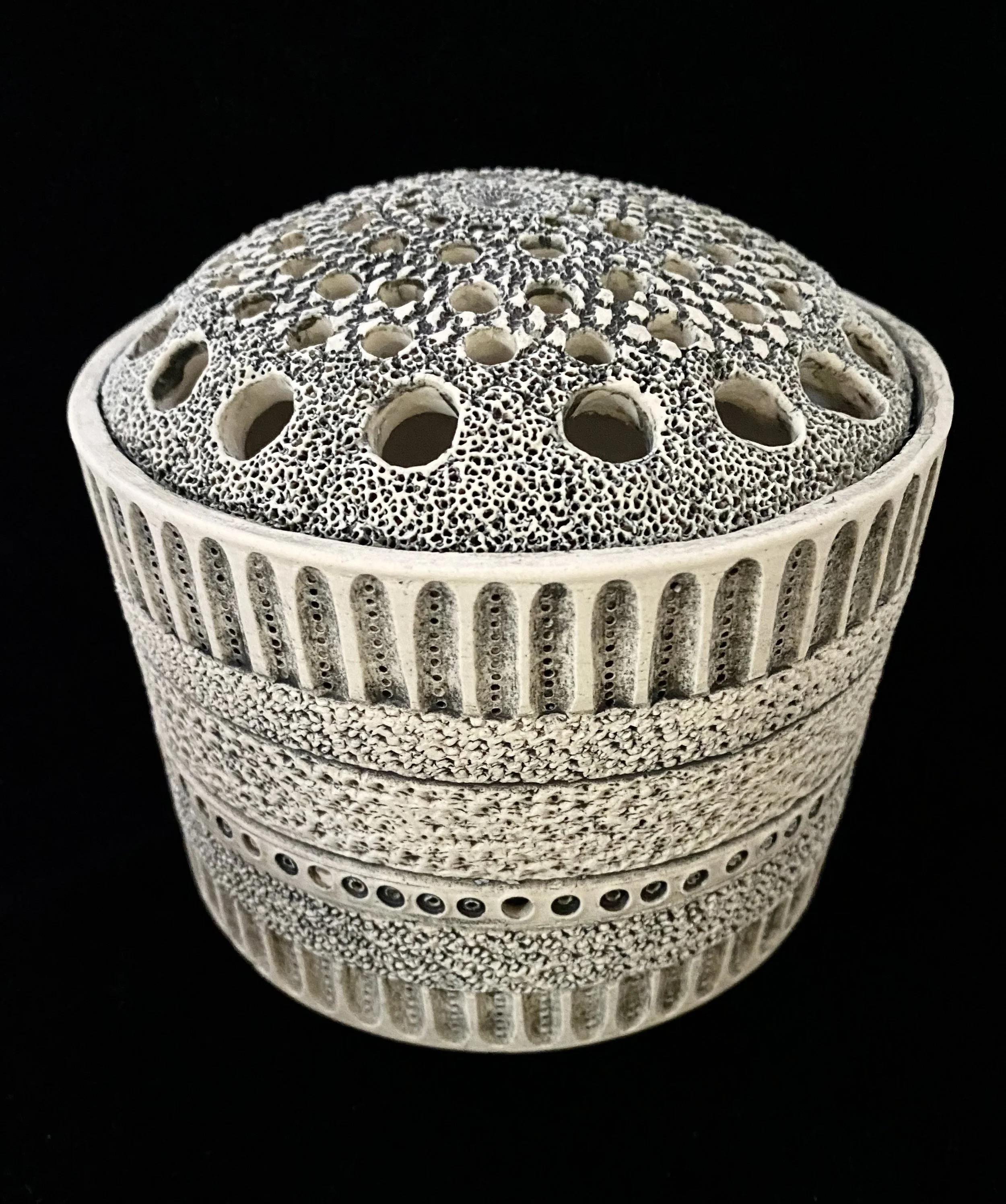 Centric Diatom Pierced Sculpture