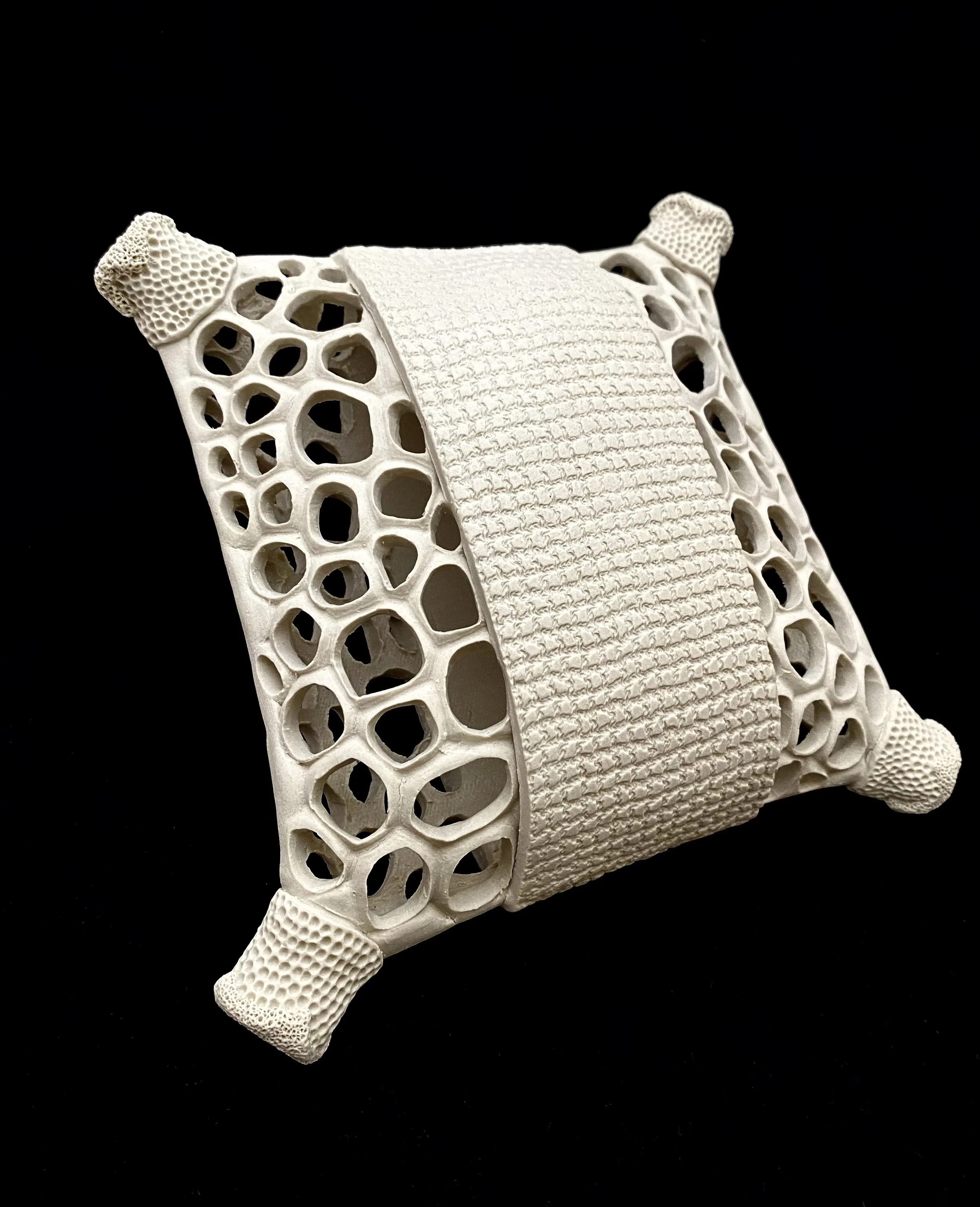 Pillow diatom pierced Sculpture, medium