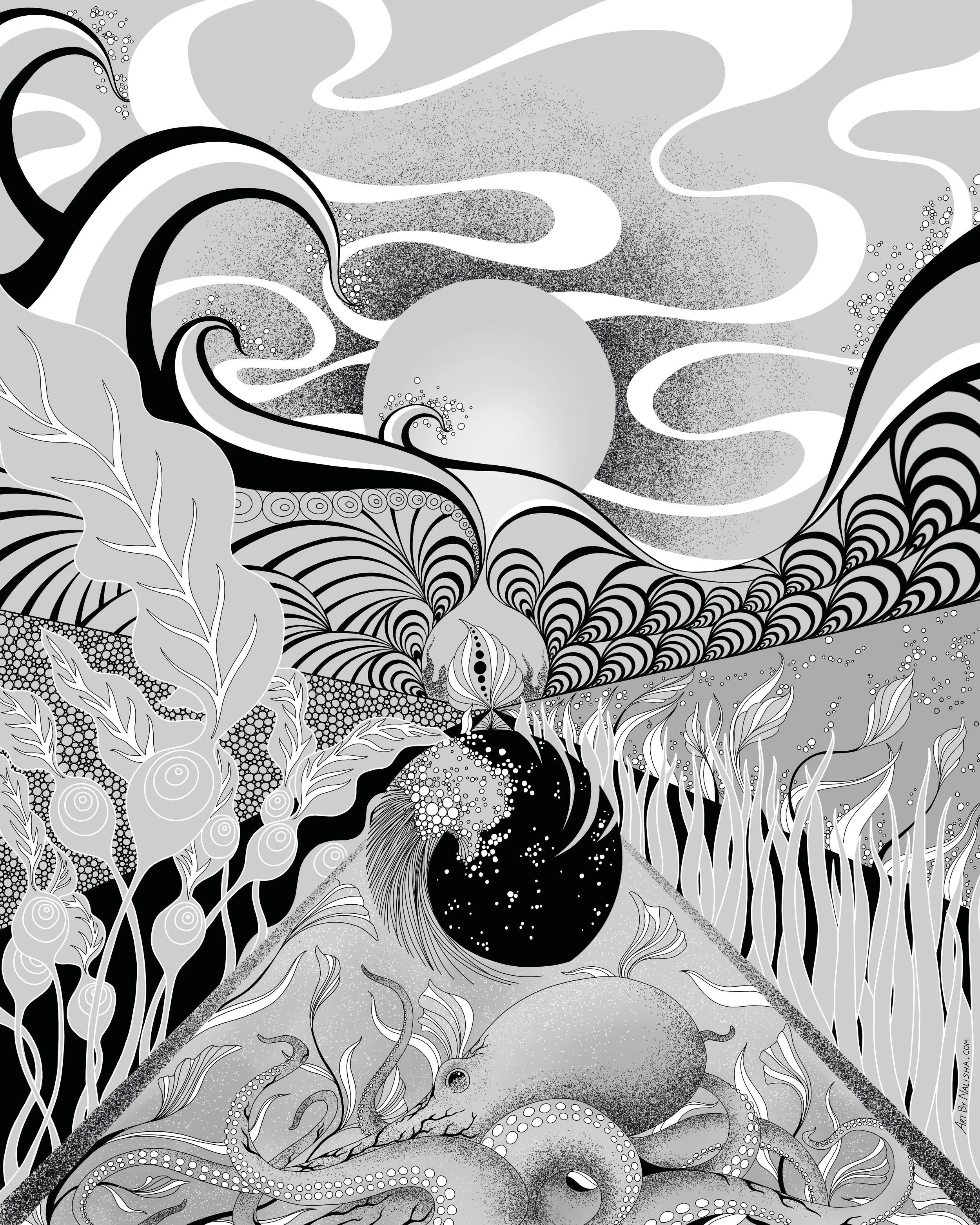 PNW Giant Octopus.JPG