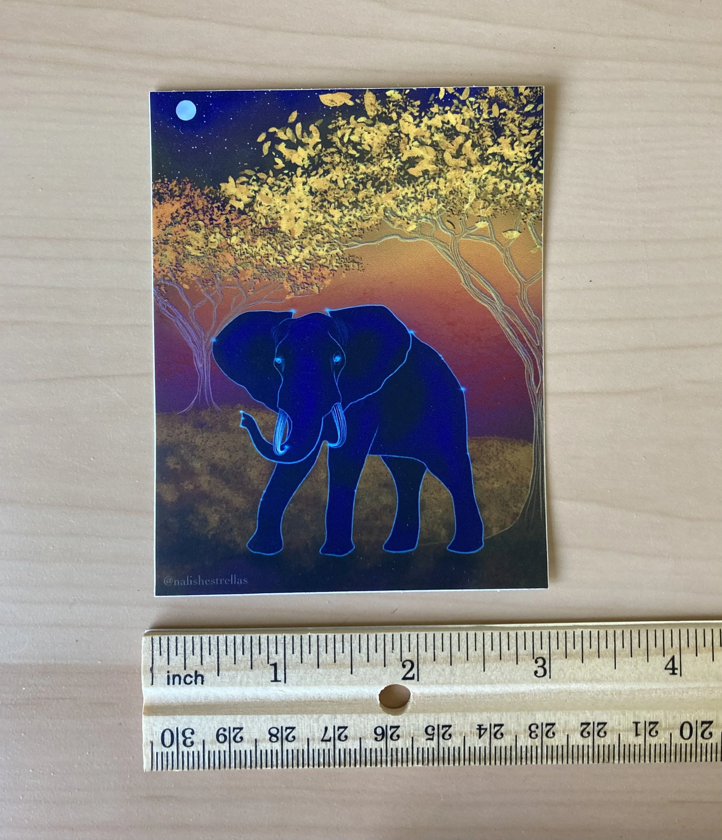 Memory sticker_ruler.jpg