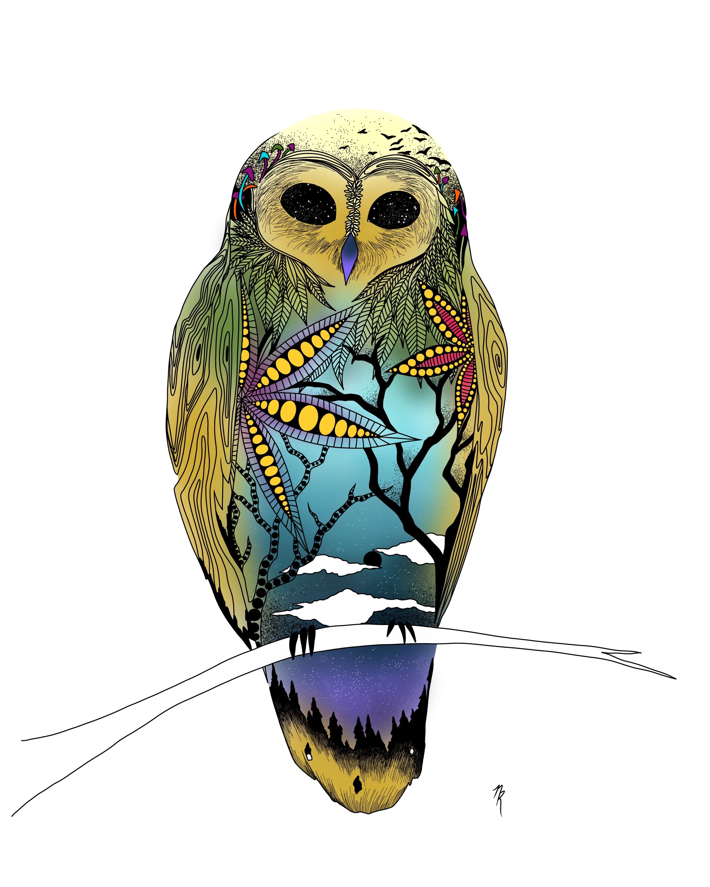 Bujo color_animales collection_digital illustration_Nalisha Estrellas_2.JPG