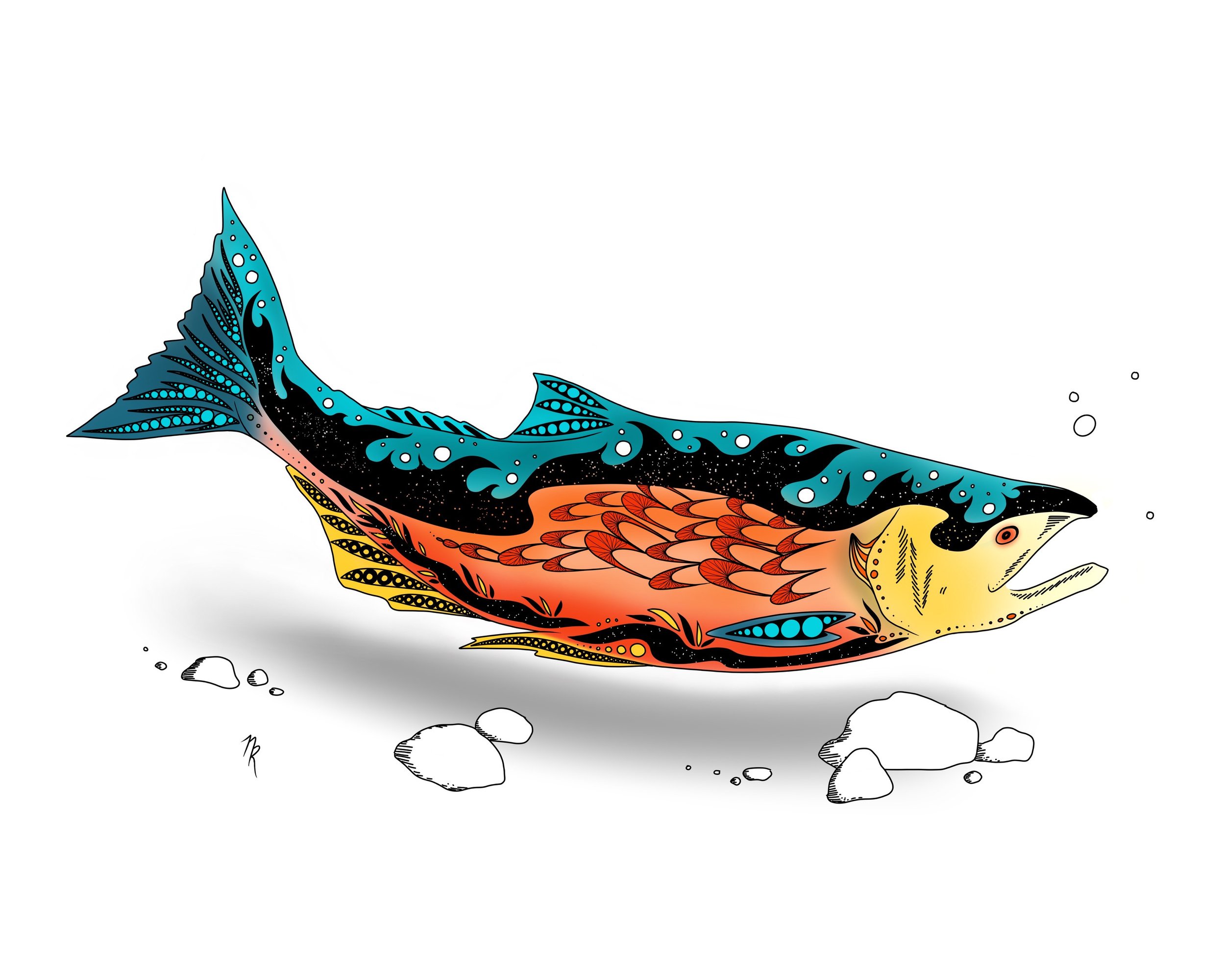 Salmon color_animales collection_digital illustration_Nalisha Estrellas_3.JPG