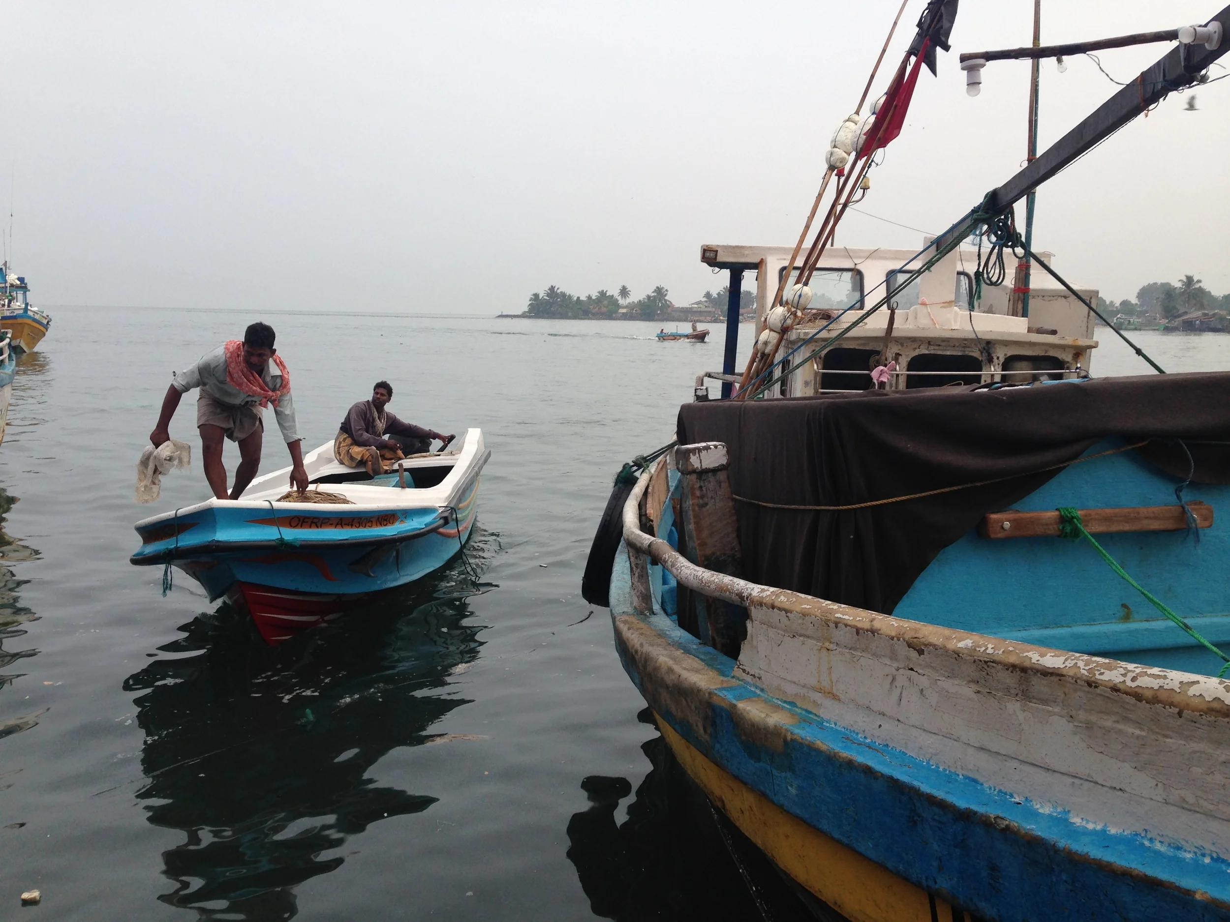 sri lanka fish market.JPG