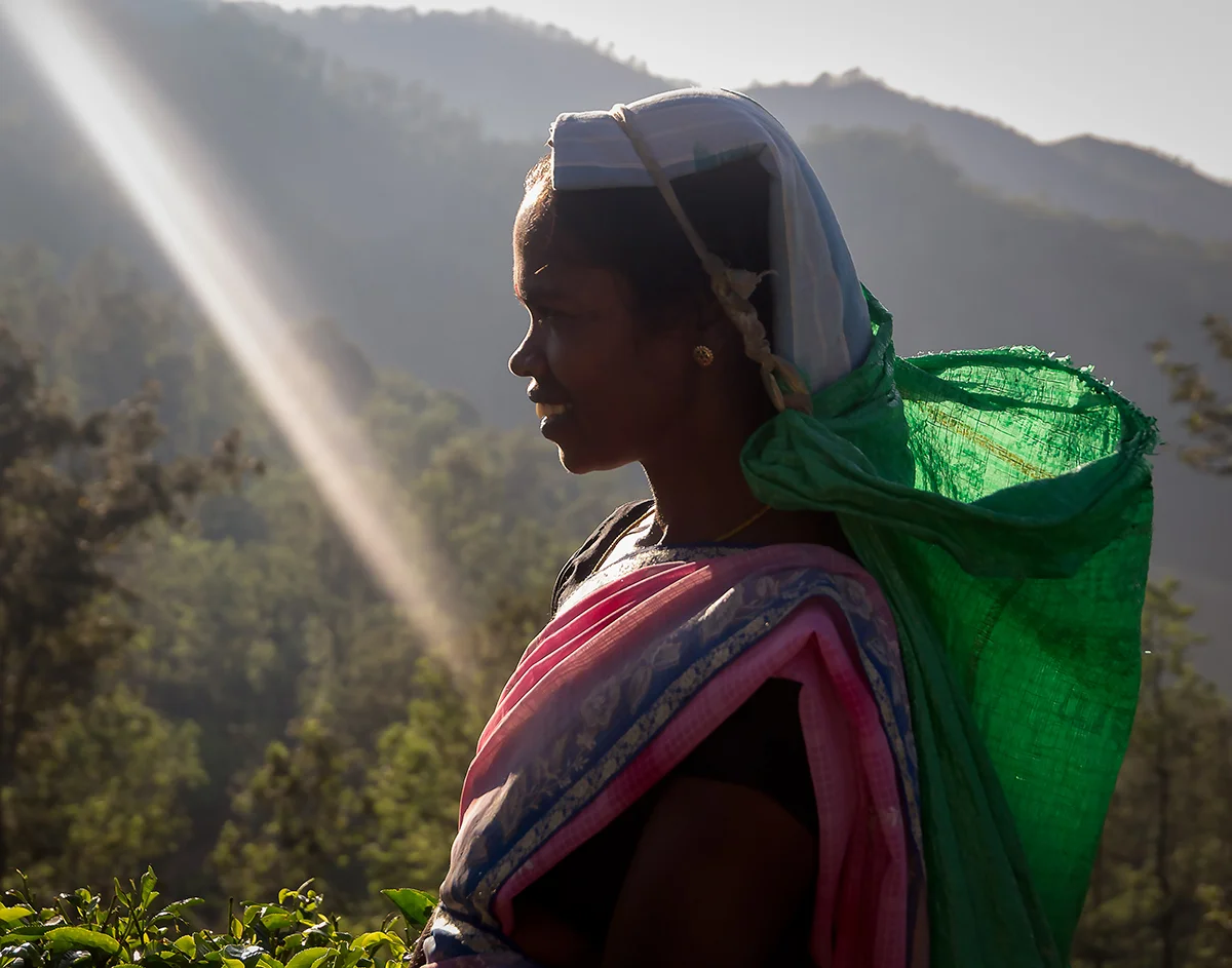 PHOTO BY HOLLY BROWN (2016)