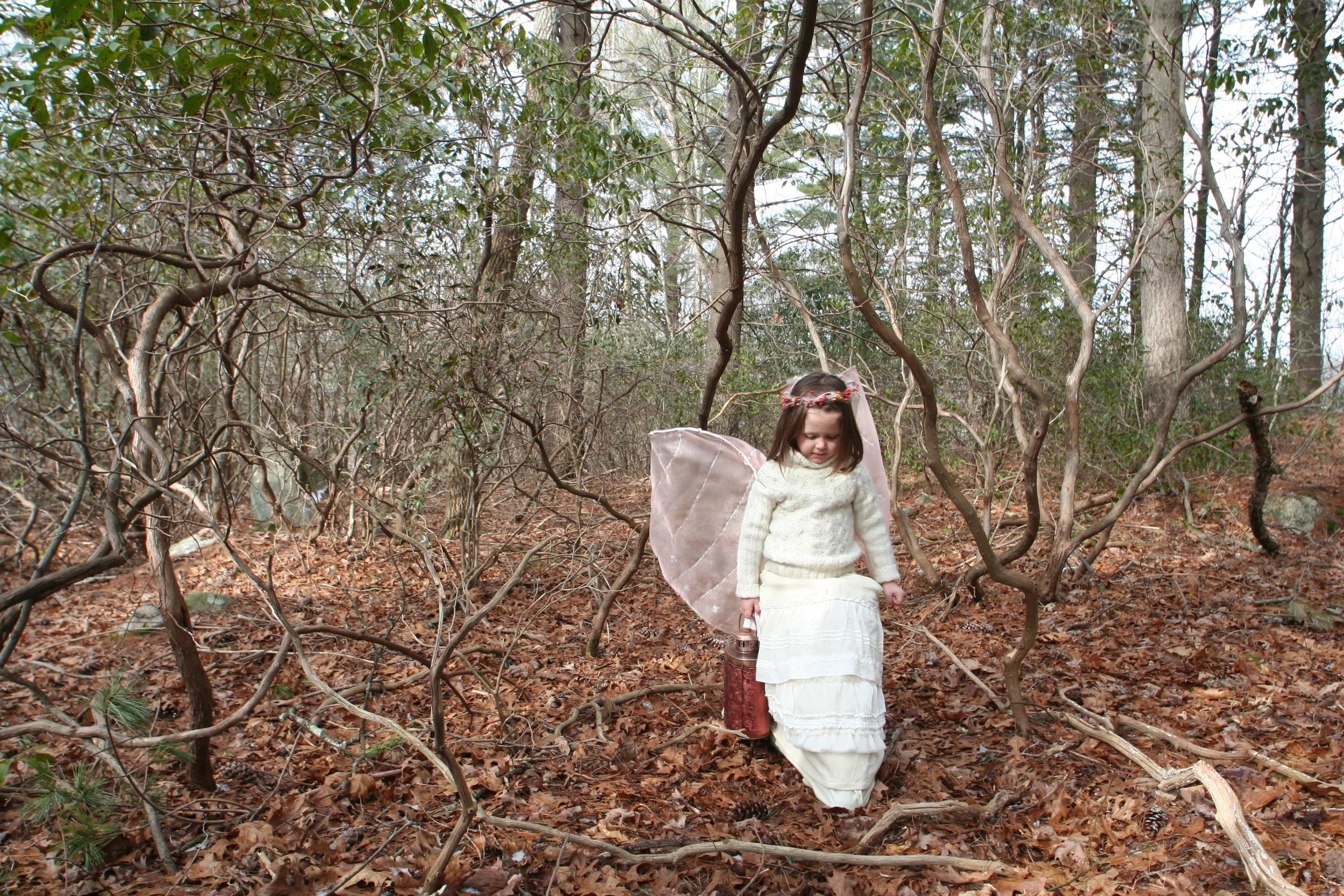 Winter Fairy Shoot 1-28-070014.JPG