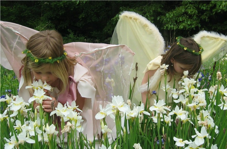 Spring Fairy 6-3-07_007 lo.JPG