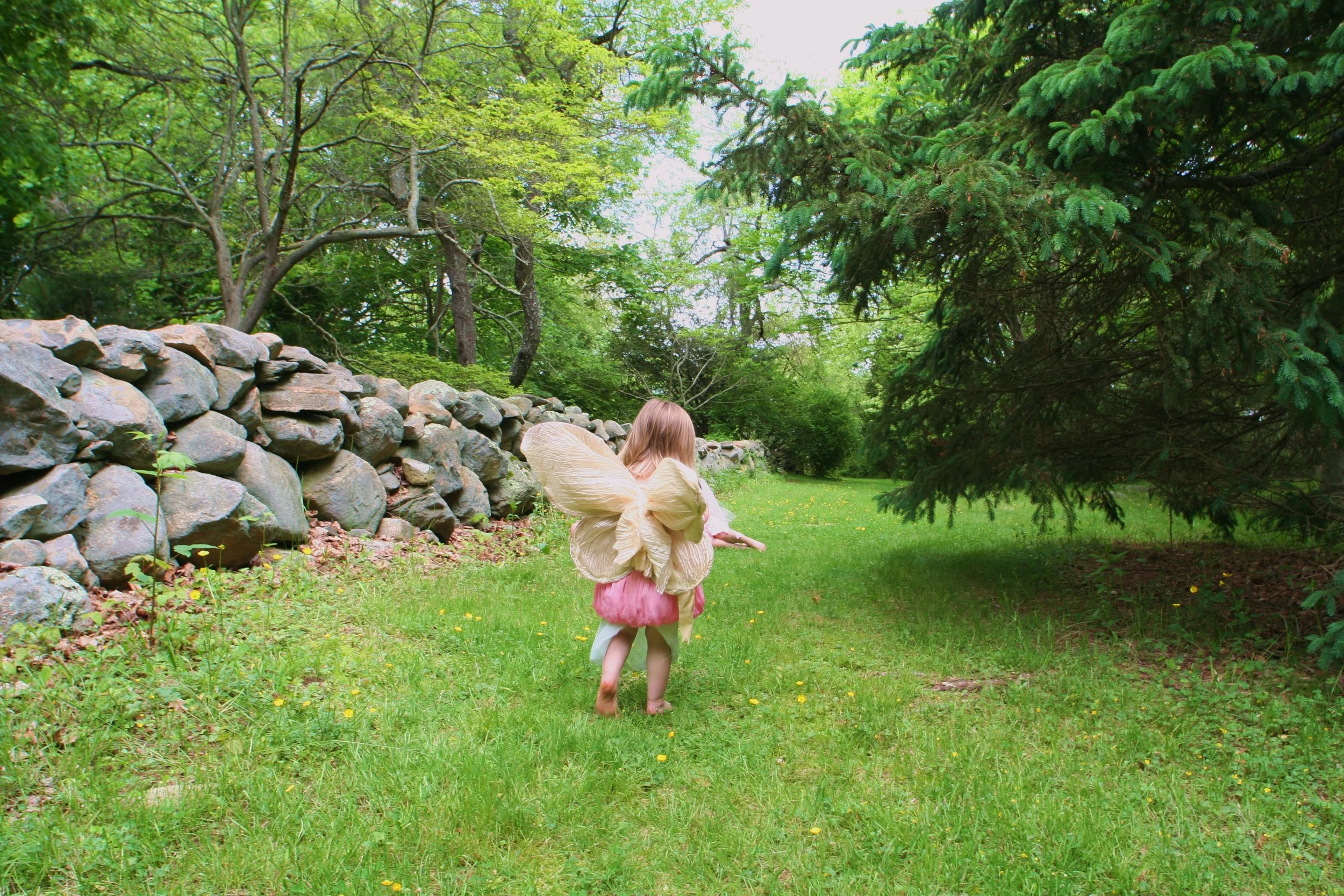 Spring Fairies 2009 065.JPG