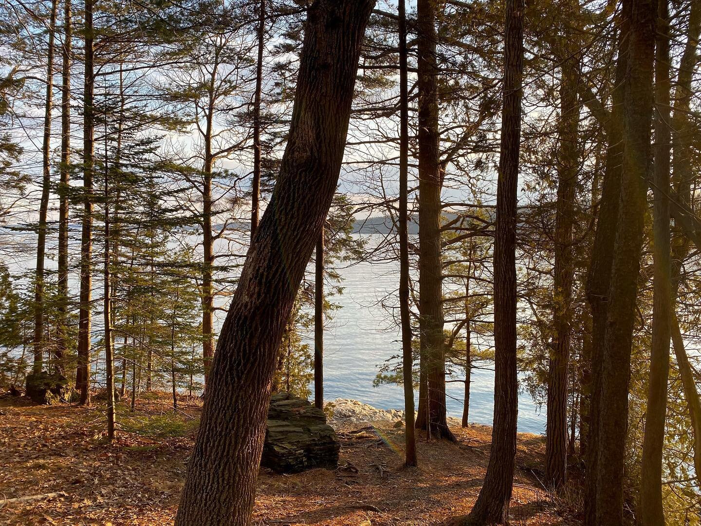 Finding #faeries in the Maine woods. 🧚&zwj;♀️
#mainewoods