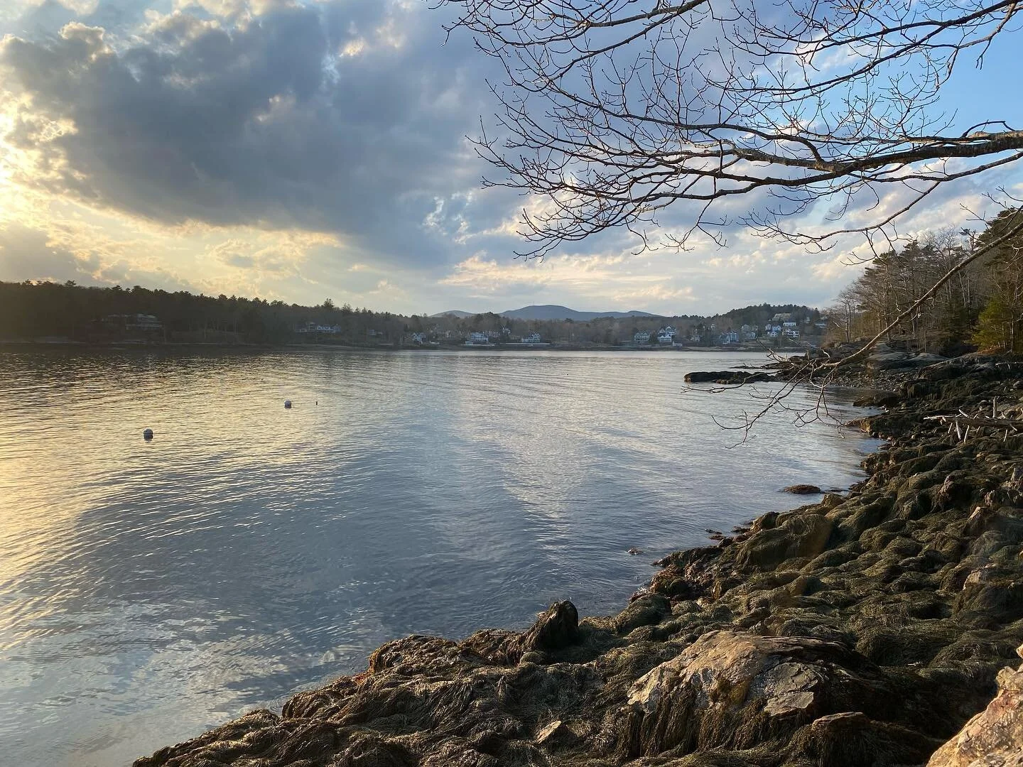 #mainecoast #rockportmaine