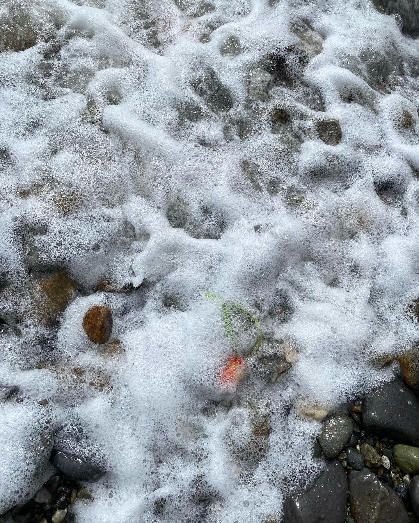 It&rsquo;s the rubble of the rocks for me&hellip; 🪨🌊🪨🌊 #mainecoast