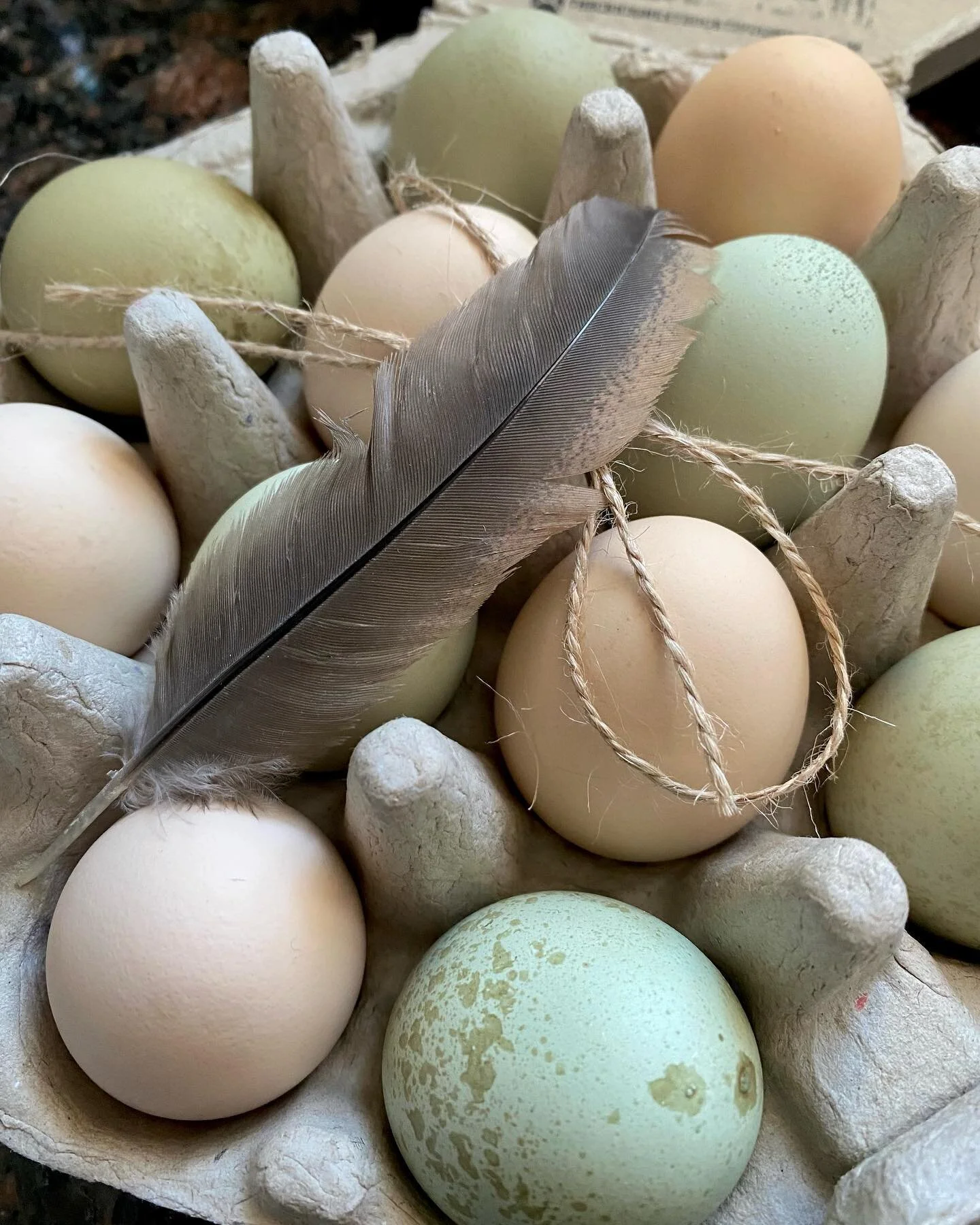 Presentation is everything. ✨
@the_chicks_next_door_tivoli 
#heritageeggs