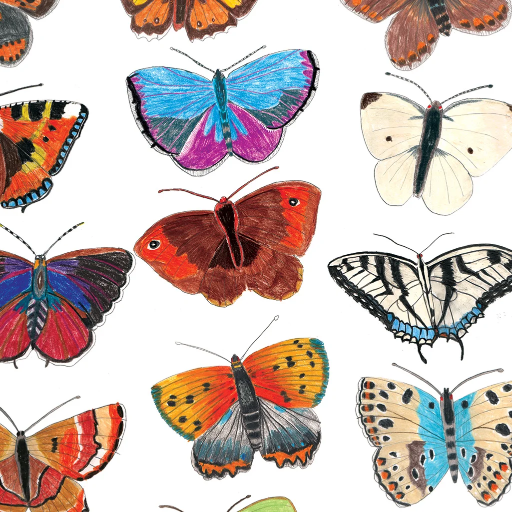 butterflies-A.jpg