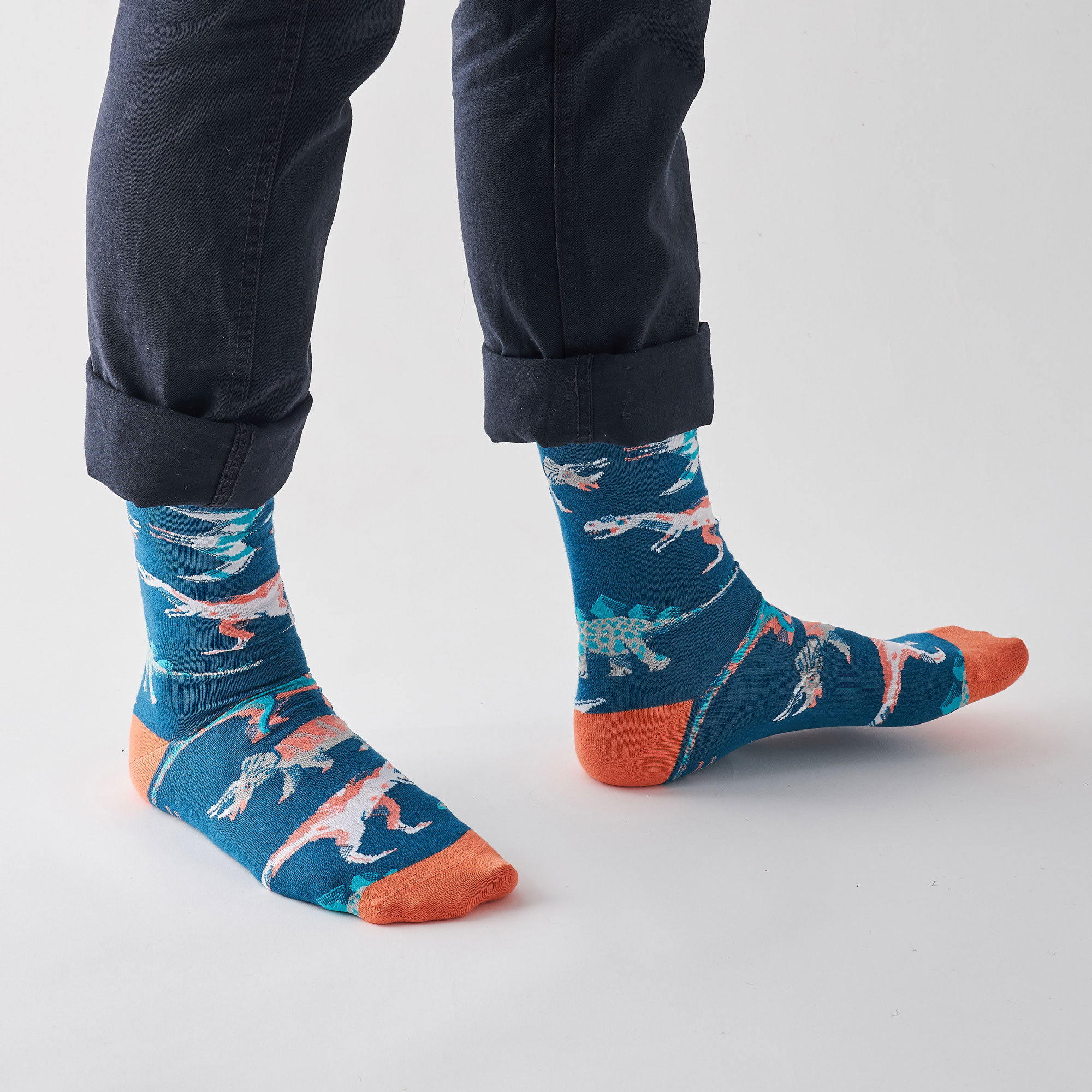 James Barker — Dinosaur Socks