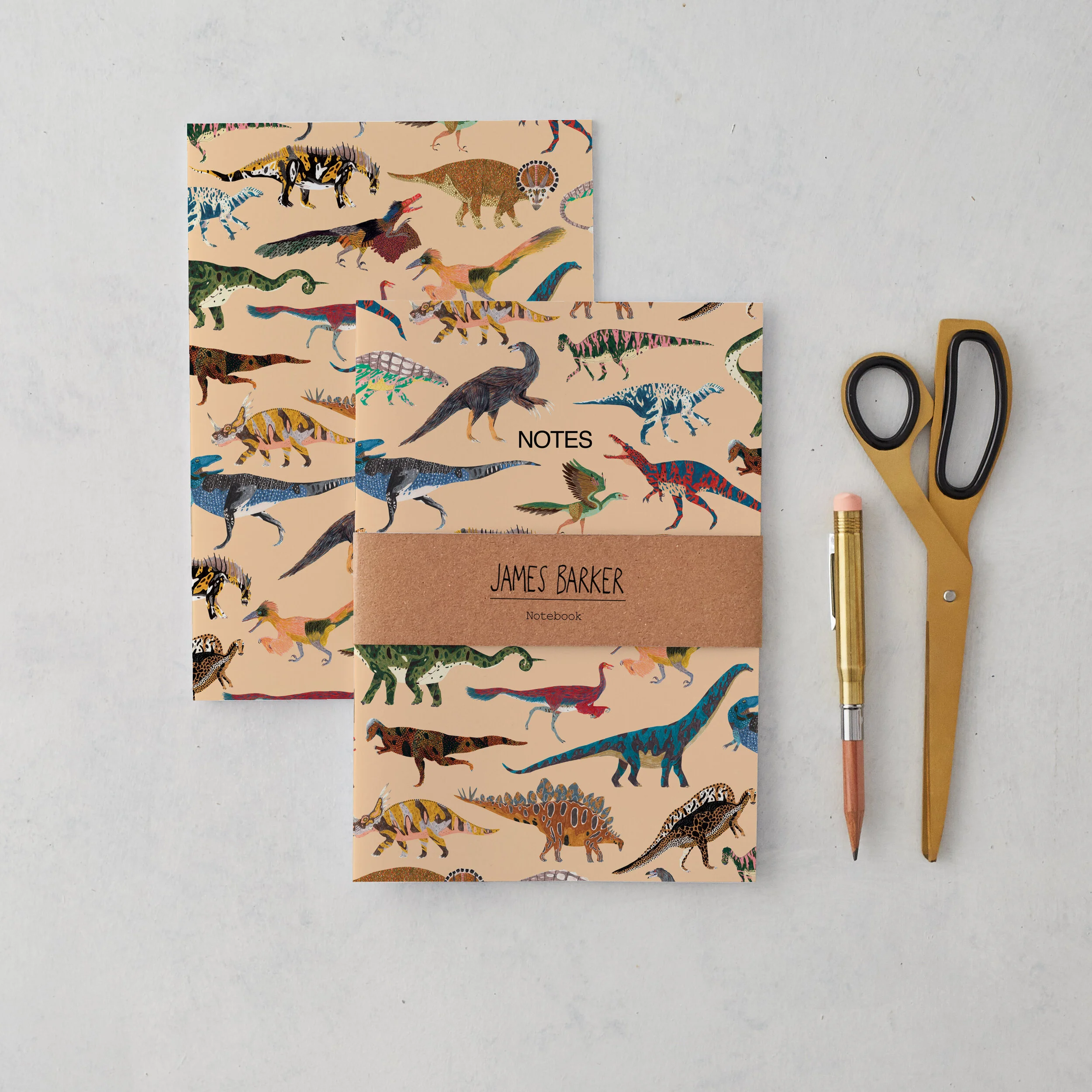 dino-2020-notebooks-single-front-and-reverse.jpg