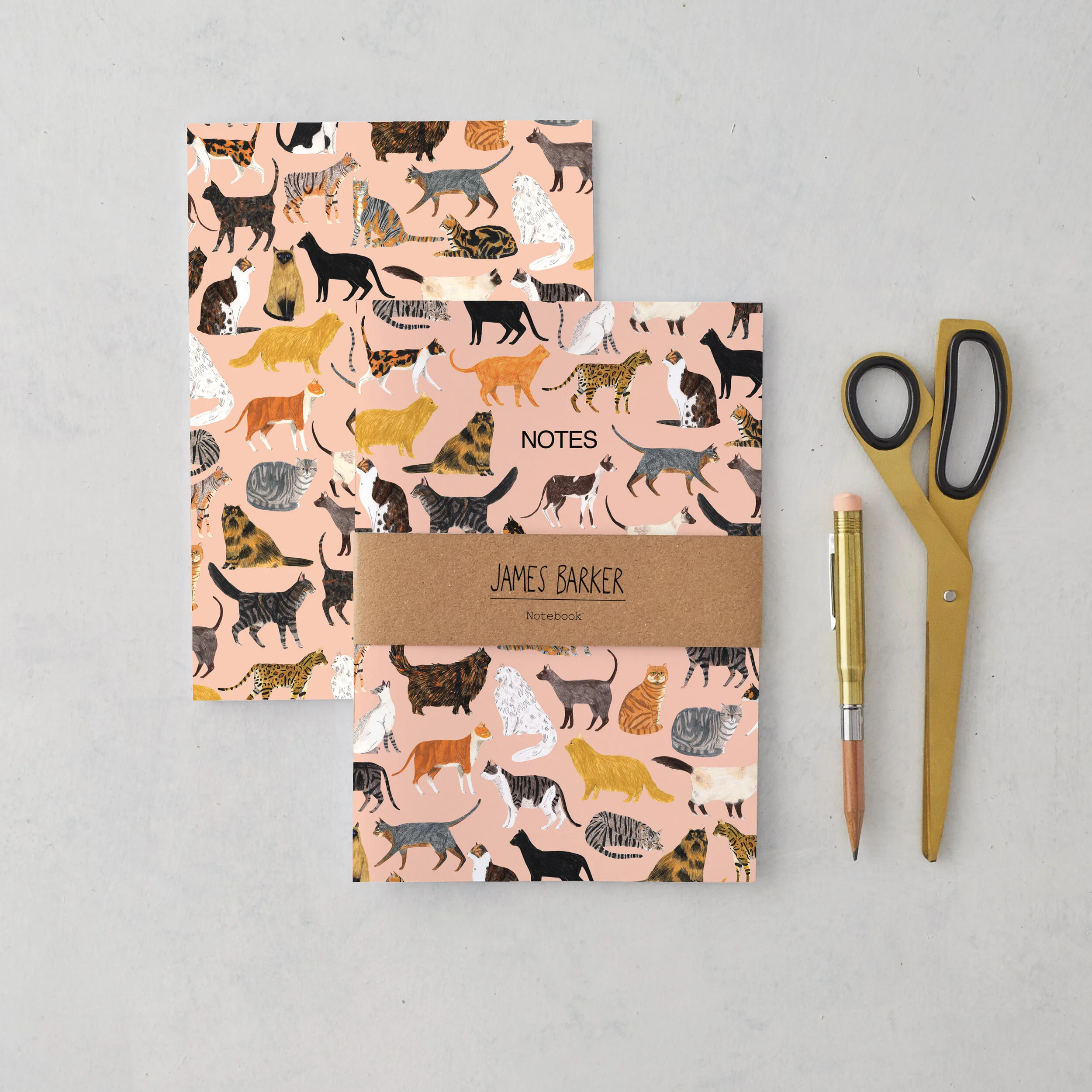 cats-2020-notebooks-single-front-and-reverse2.jpg