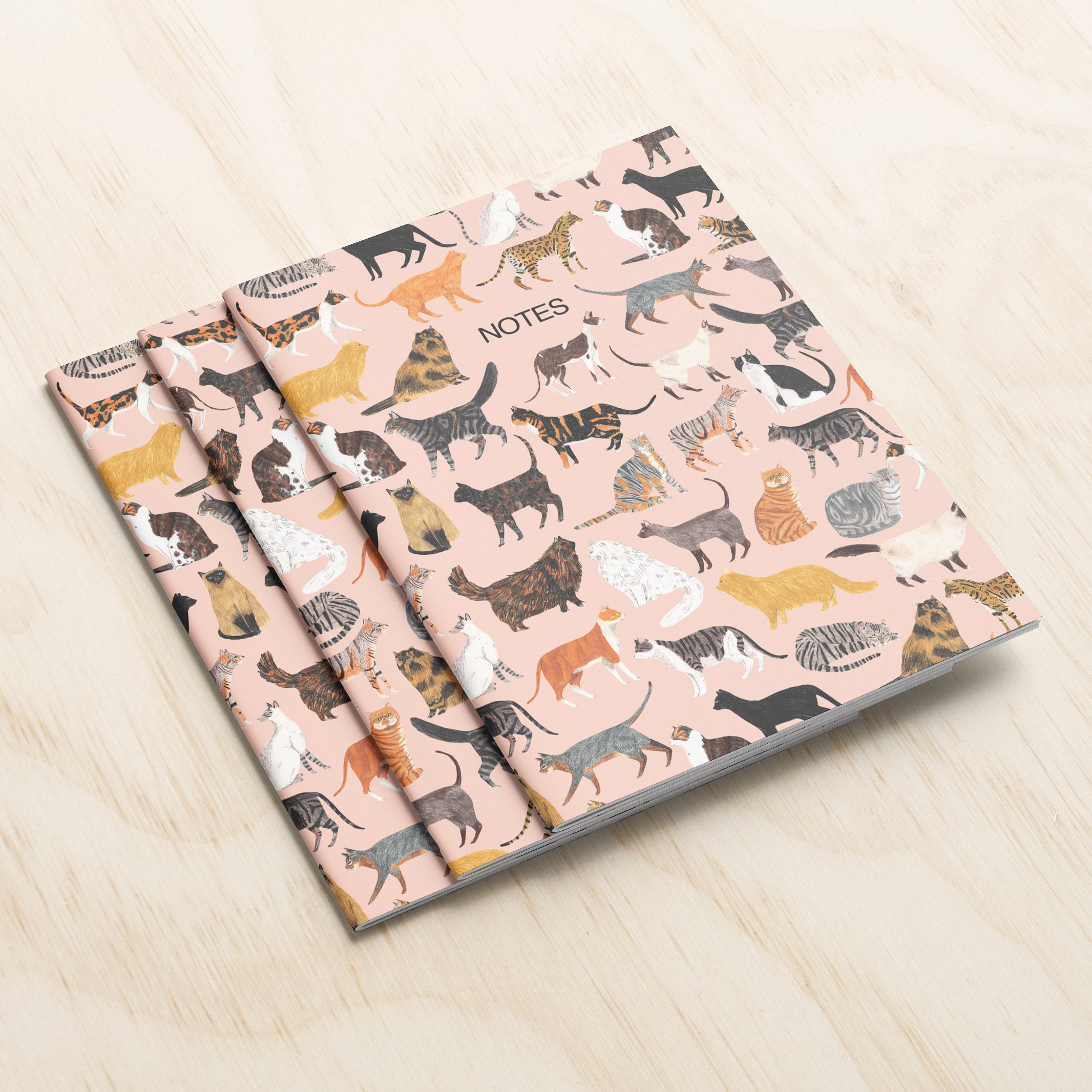 new-notes-three-cats-2.jpg