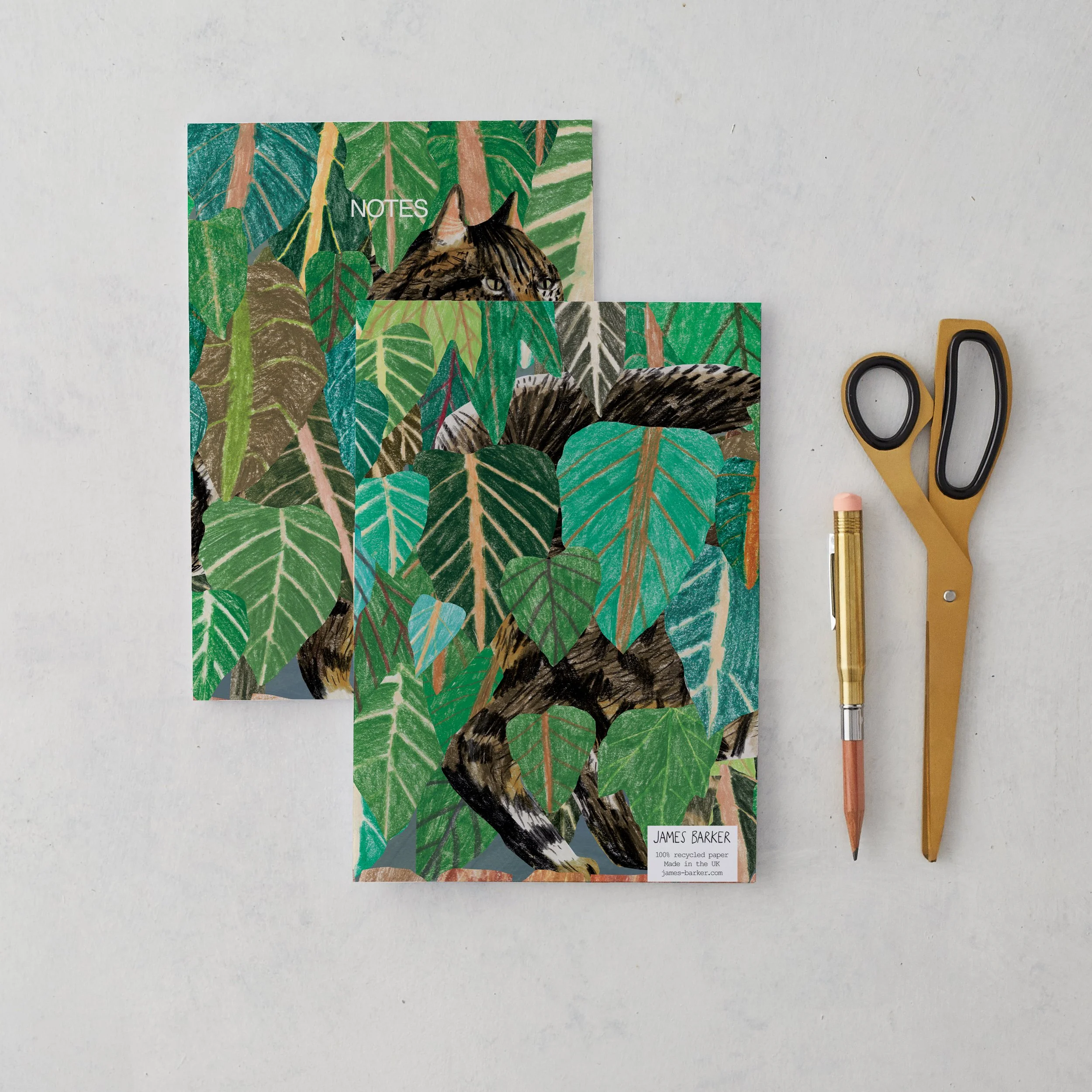 cat-bush-reverse-front-notebooks.jpg