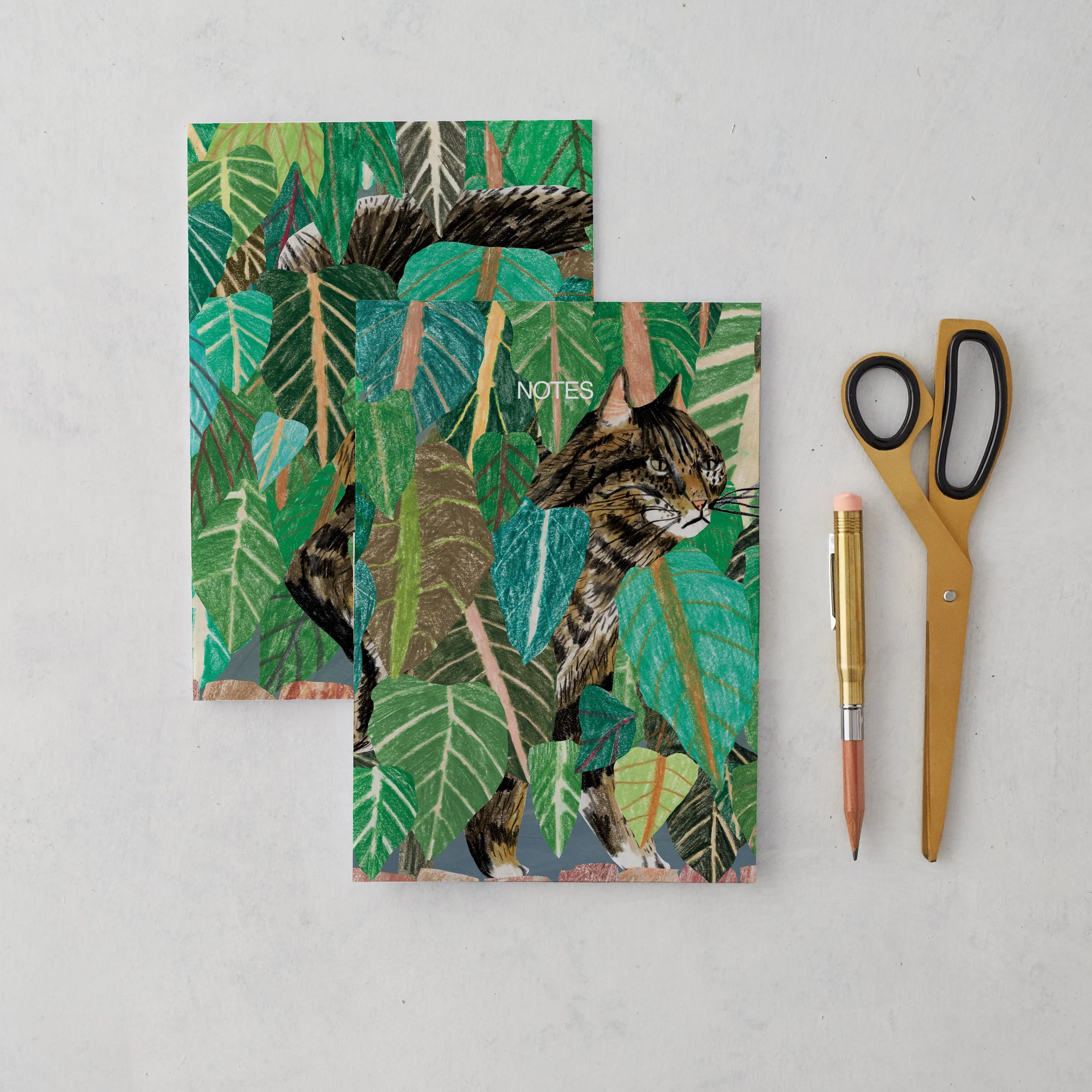 cat-bushes-notebooks-single-front-and-reverse.jpg