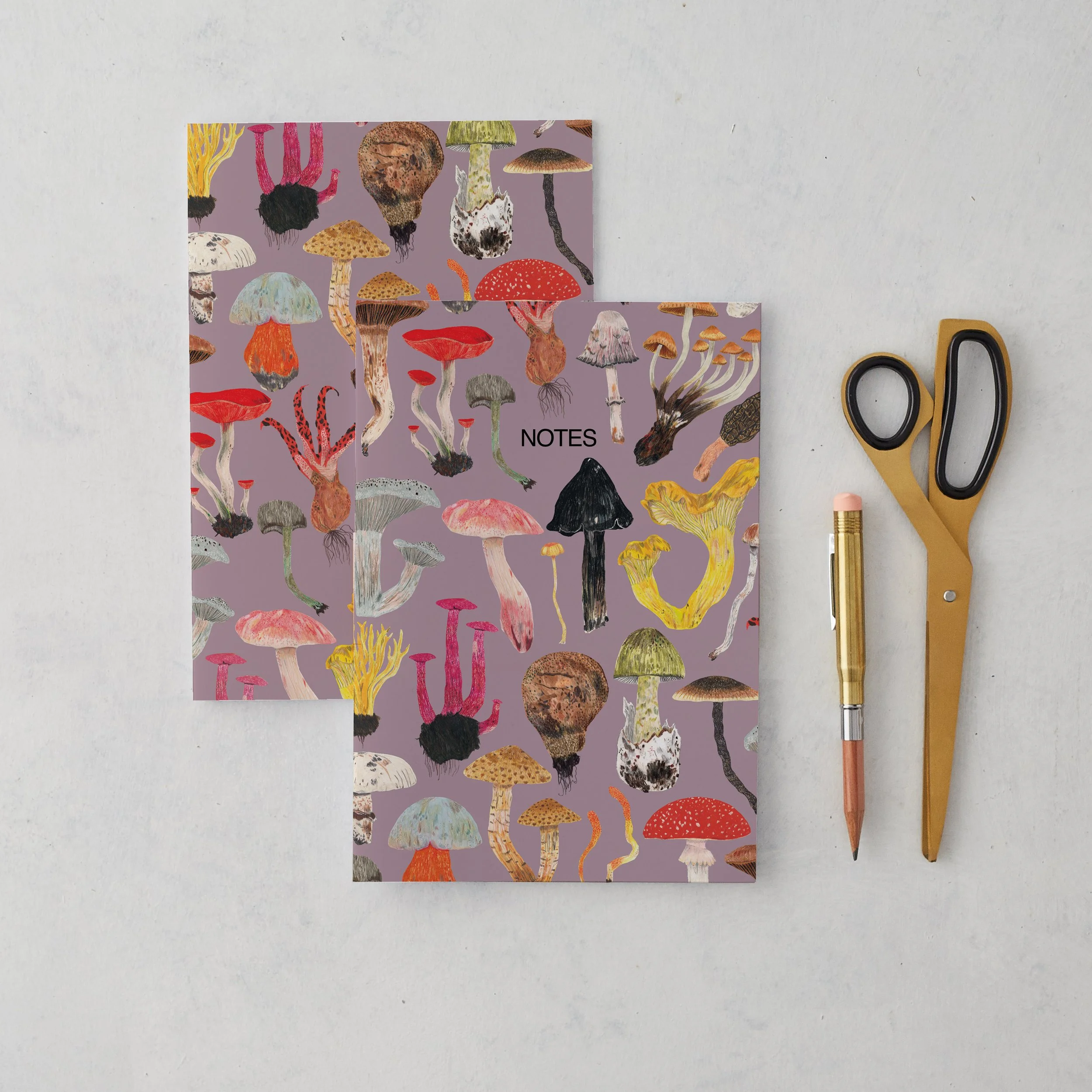 mushroom-notebooks-single-front-and-reverse.jpg