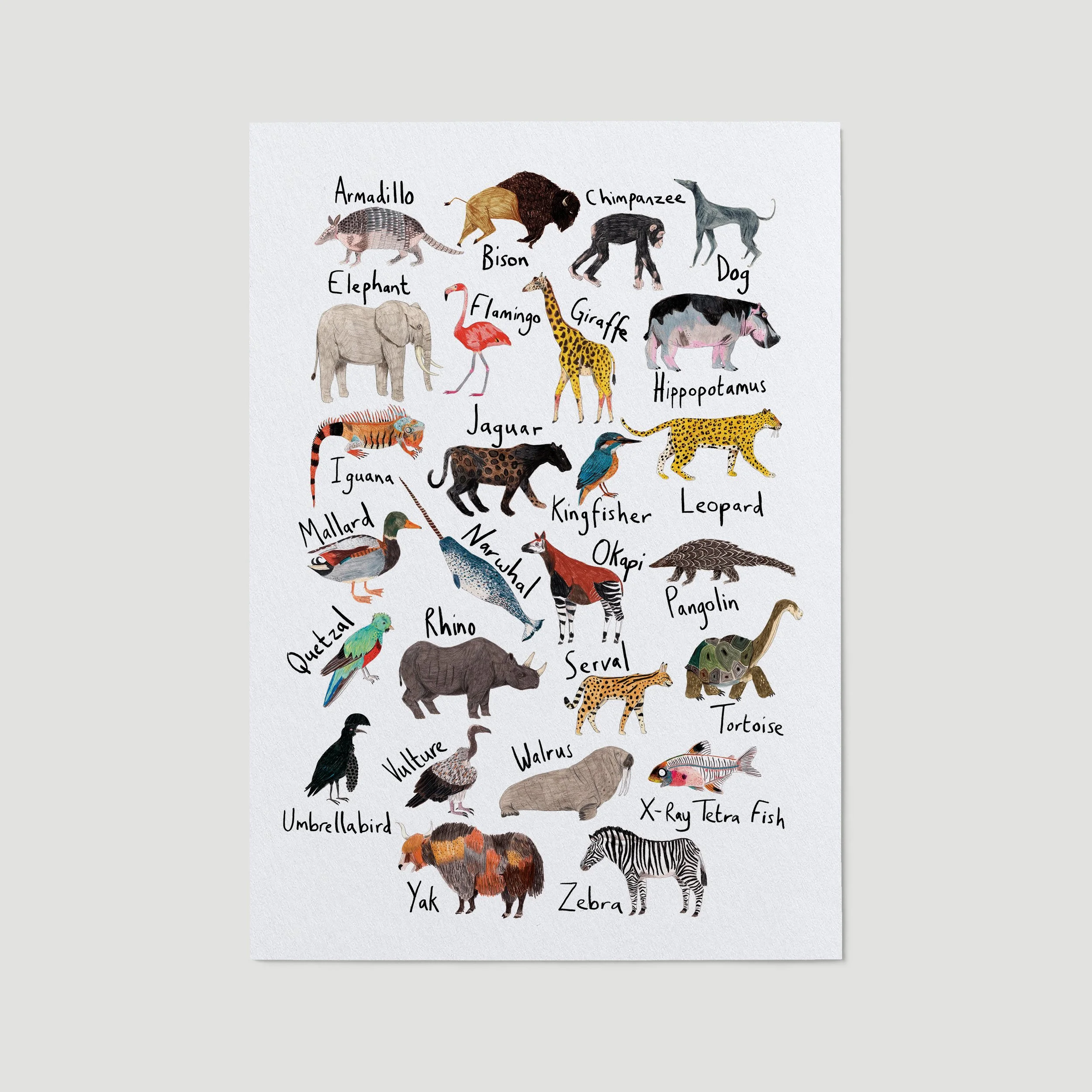 Animals-Alphabet-print-on-paper.jpg