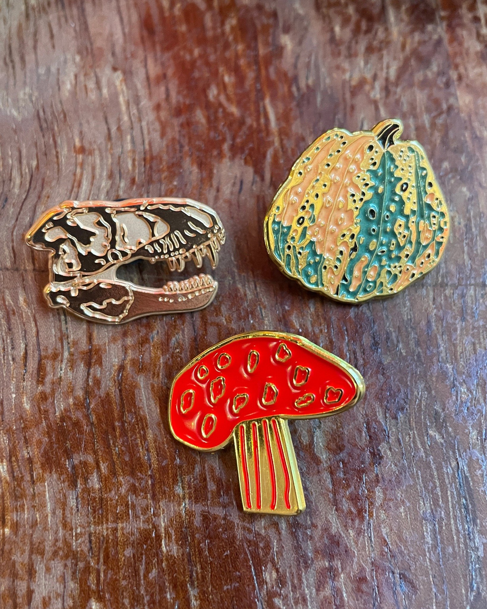 Mushroom, squash, or a terrifying T-Rex skull? Restock of pins new and old.

 #pins #pingame #dinosaurs #mushrooms #squash #enamelpins #enamelpin