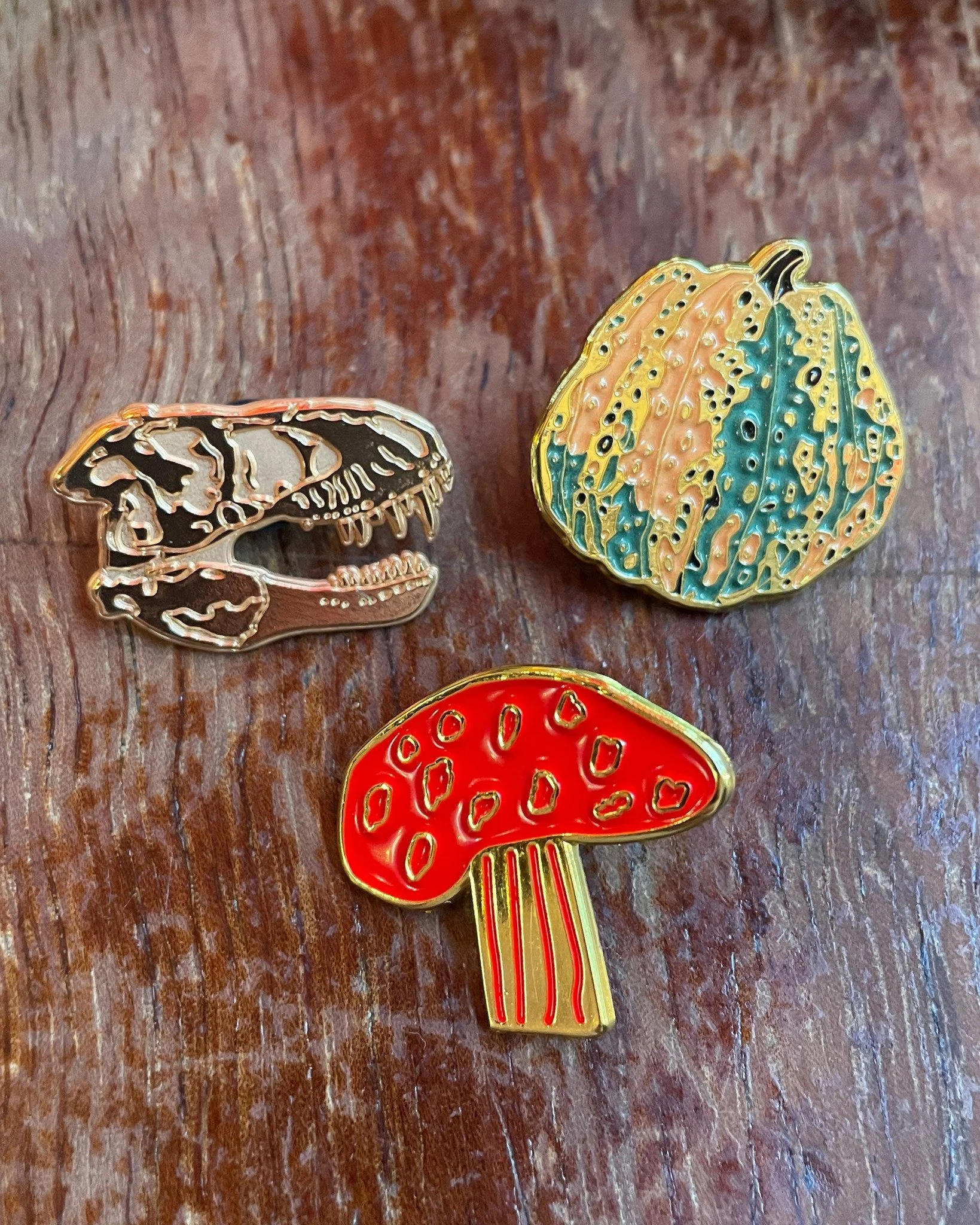 Mushroom, squash, or a terrifying T-Rex skull? Restock of pins new and old.

 #pins #pingame #dinosaurs #mushrooms #squash #enamelpins #enamelpin